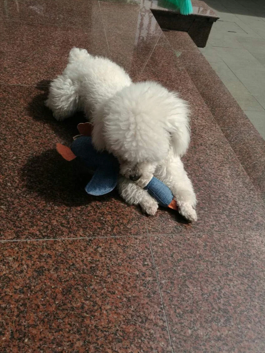 Vitscan Jouets pour Chiens à mâcher agressifs indestructibles Grande Race oie couineuse