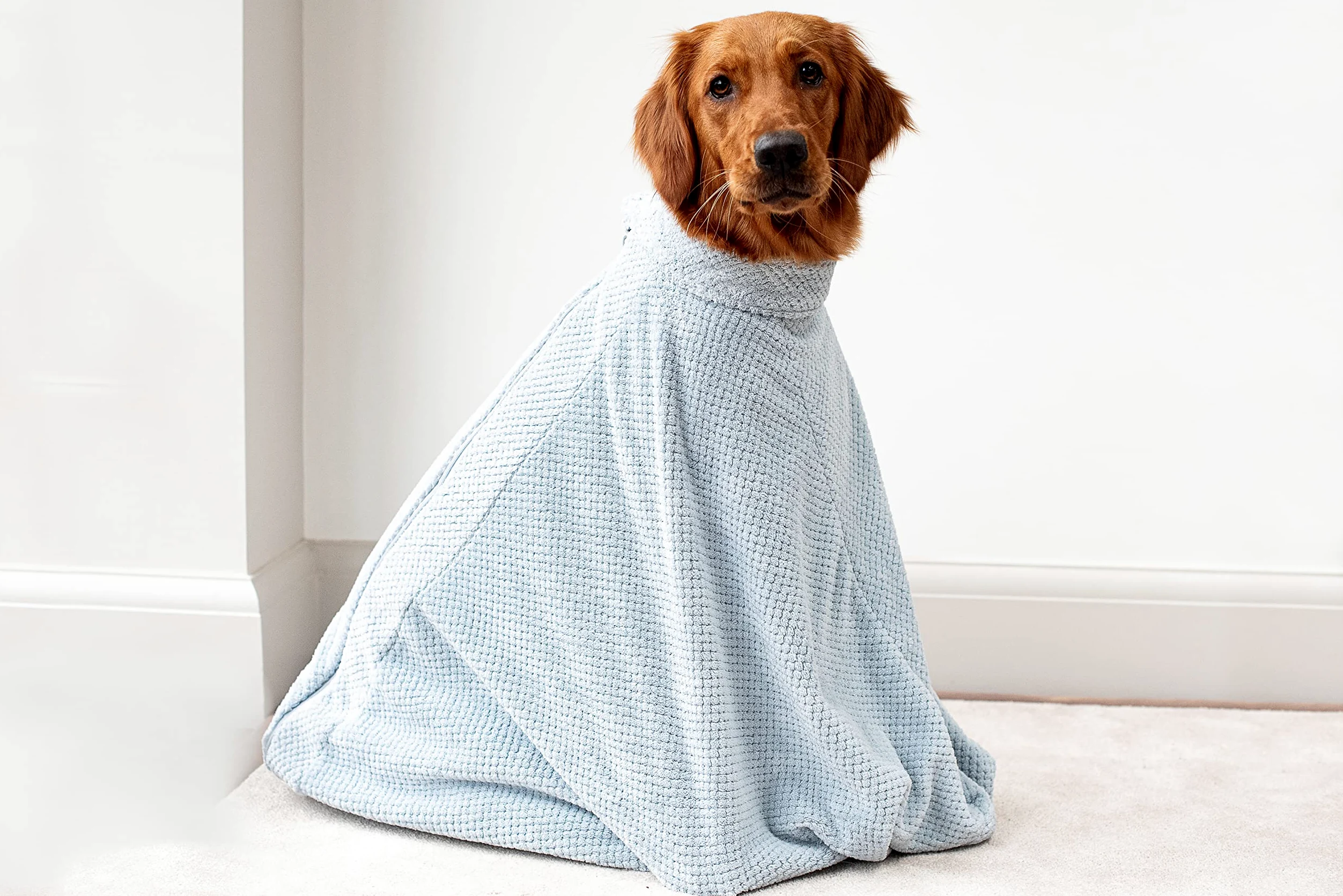 pet wiz Sac de séchage pour chien en microfibre de qualité supérieure - Super absorbant et à séchage rapide - Serviette de bain (M, bleu ciel)