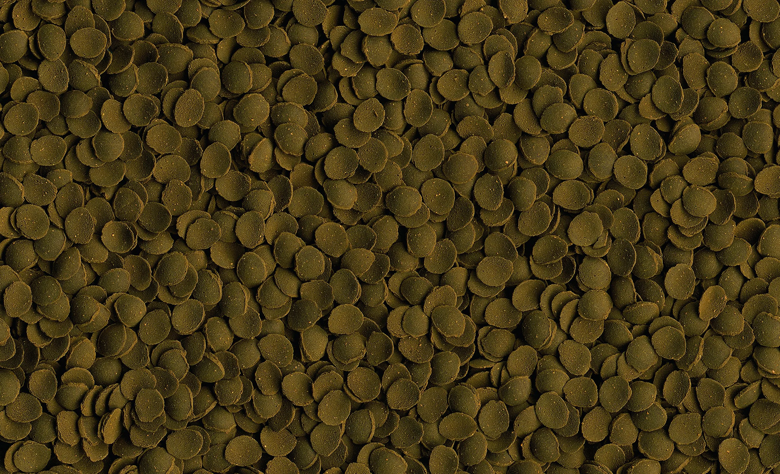 TETRA TetraPleco Wafers Aliment Complet pour Poisson de Fond herbivore 250ml