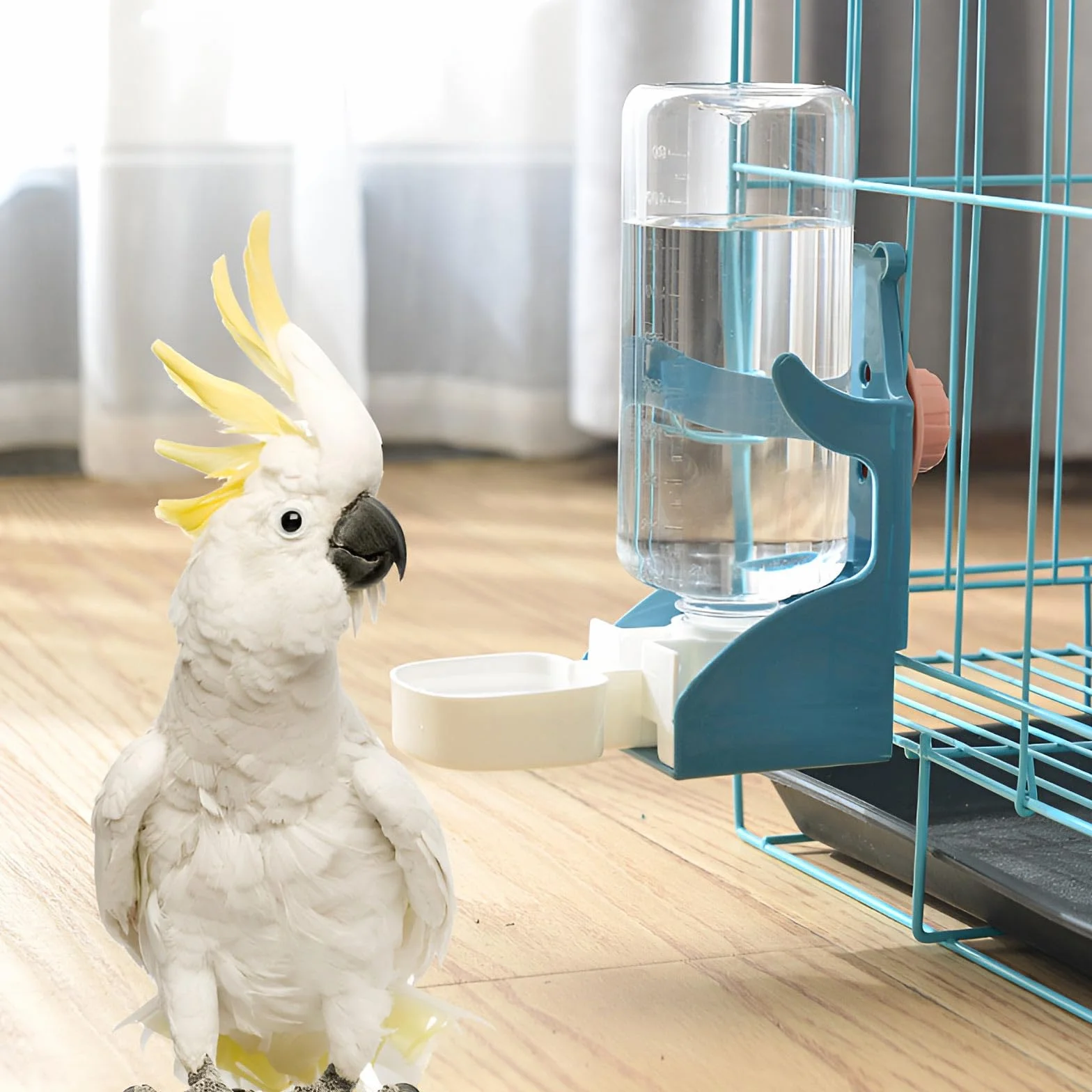Distributeur Automatique d'Eau et de Nourriture pour Oiseaux en Cage, 500ml, pour Perroquets et Perruches