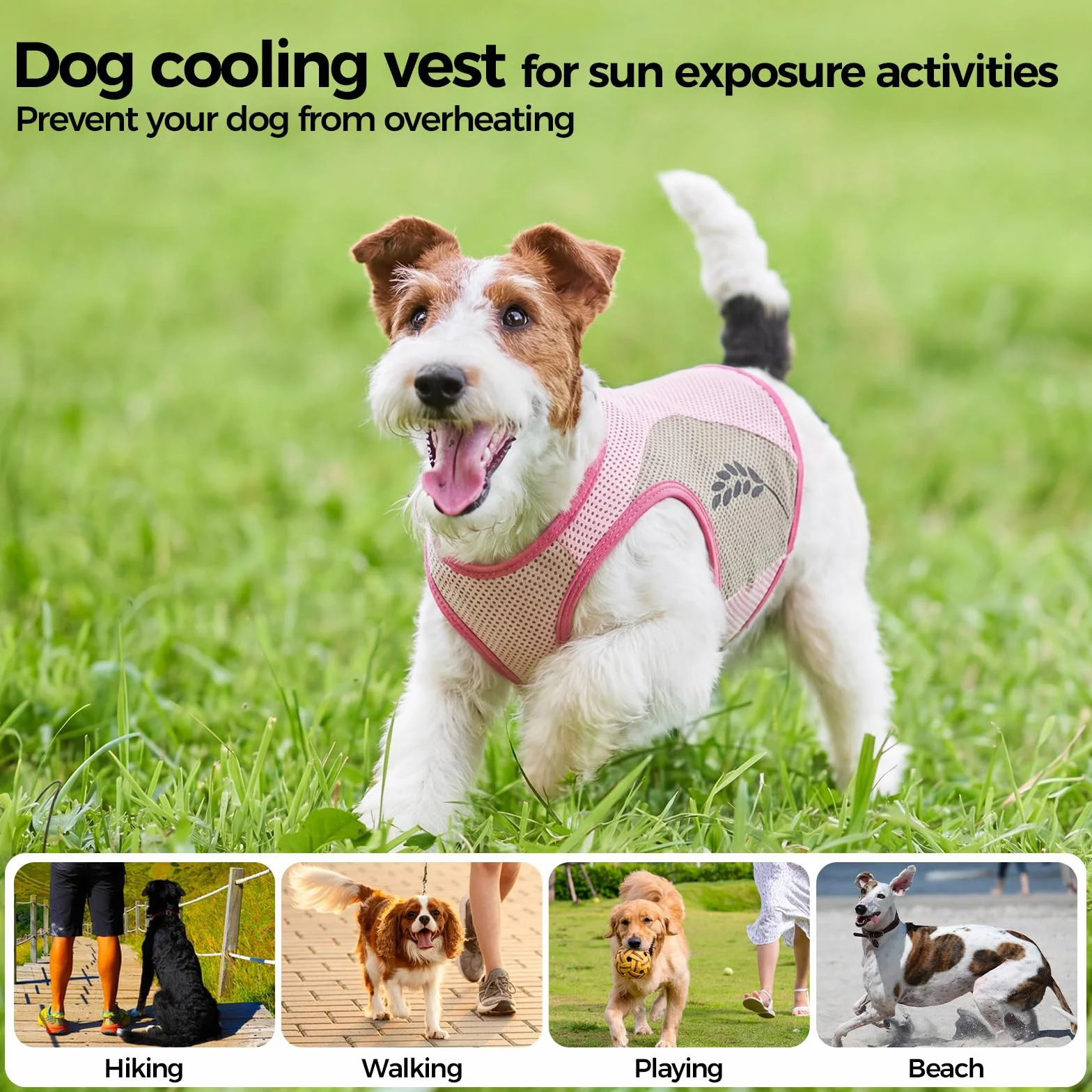T-Shirt Rafraîchissant Chien Manteau Fraicheur Chien Gilet Fraicheur Dog Cooling Jacket Rose 9XL