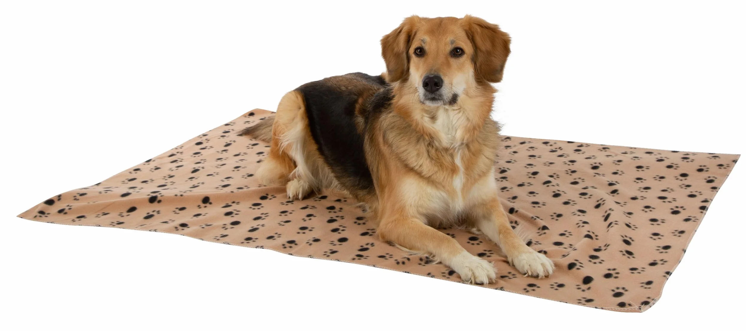 Kerbl Couverture pour Chien Stella Beige Motif Pattes 140 x 100 cm Polaire Moelleuse