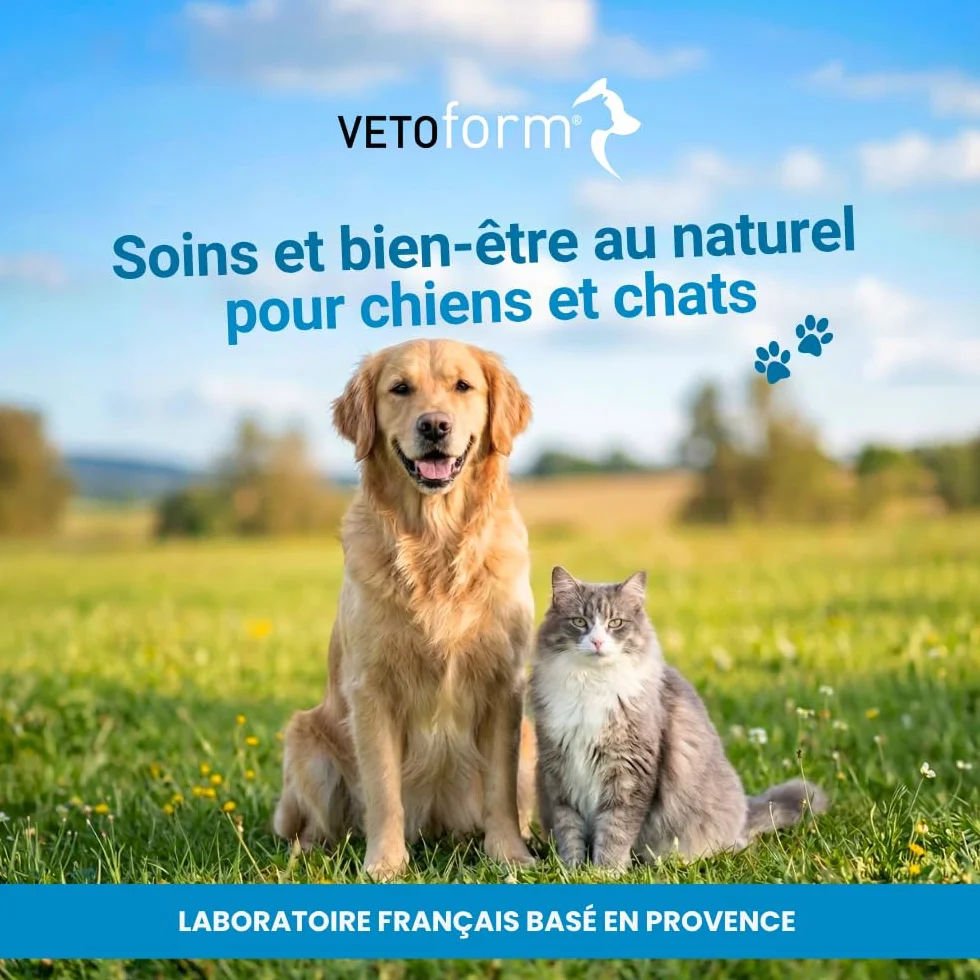 VETOFORM Purge Naturelle Liquide pour Chat et Chaton 50 ML Ail Échinacée Thym Camomille