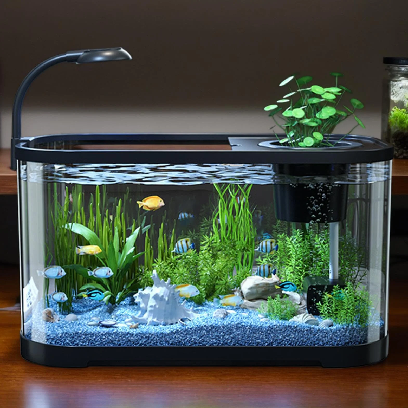 Kit Démarrage Aquarium Complet Bac Poisson Combattant Débutant Bocal Décoratif Silencieux