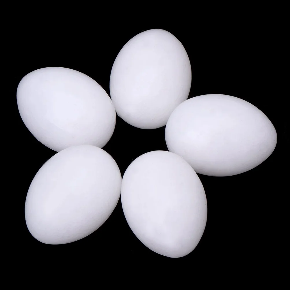 Lot de 5 œufs solides pour perroquet - Blanc - Joues vertes - Loriquet - Colombe et calopsitte