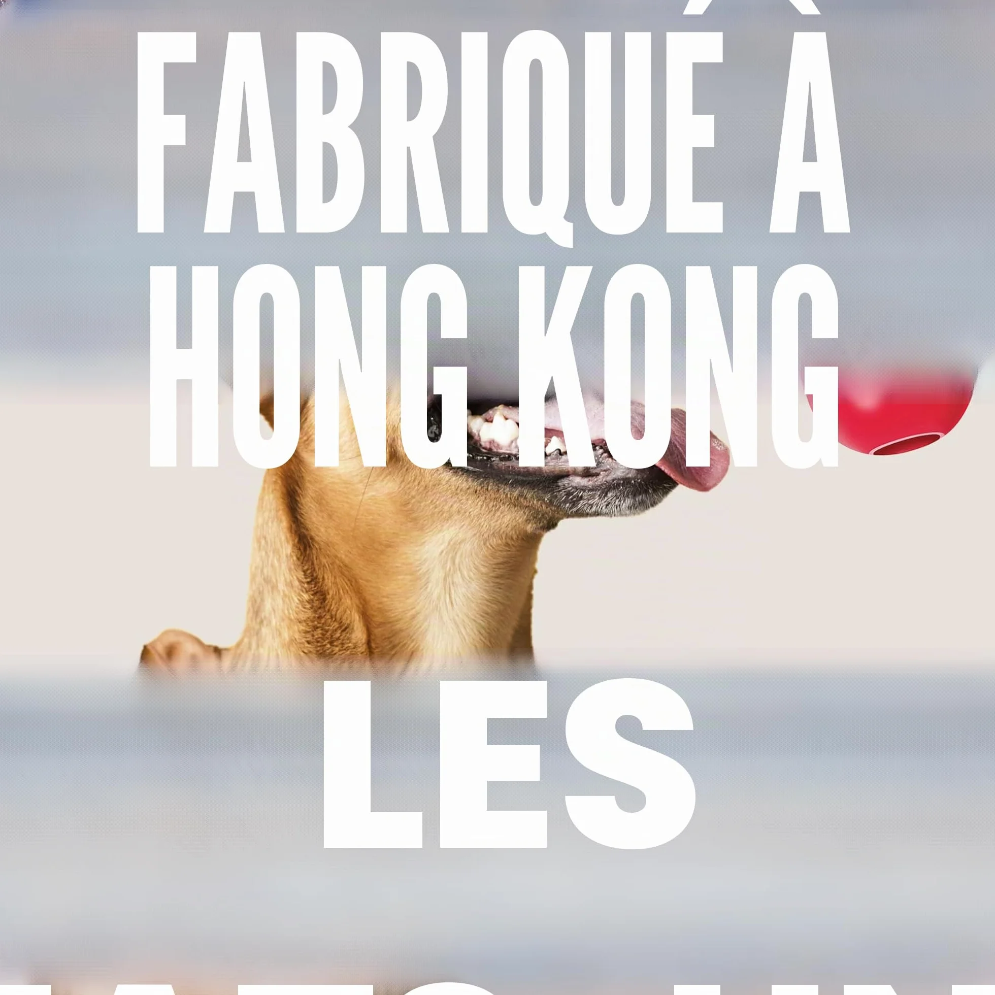 KONG Ring Jouet à Mâcher pour Chien Caoutchouc Naturel Durable Petits/Moyens