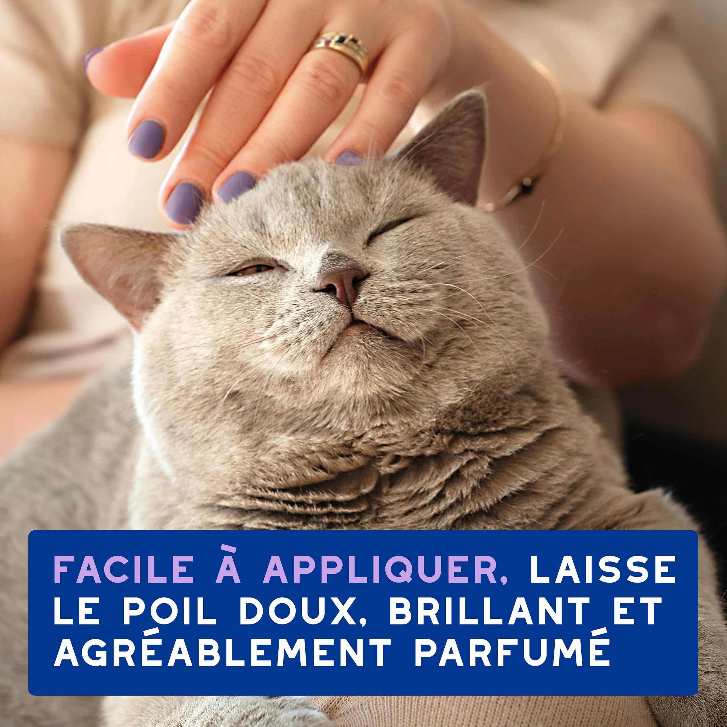 DOUXO Skin & Coat Spa Mousse sans rinçage pour Chat 150 ML nettoie rafraîchit Poil Doux Brillant