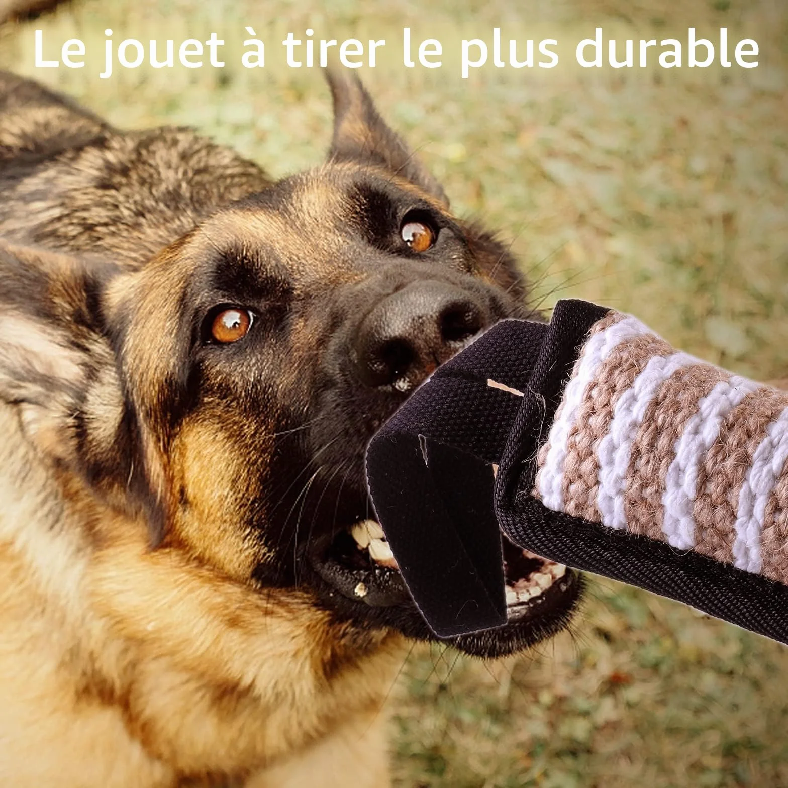 Lot de 2 Jouet Chien Indestructible Corde avec Anses pour Jeux et Entraînement