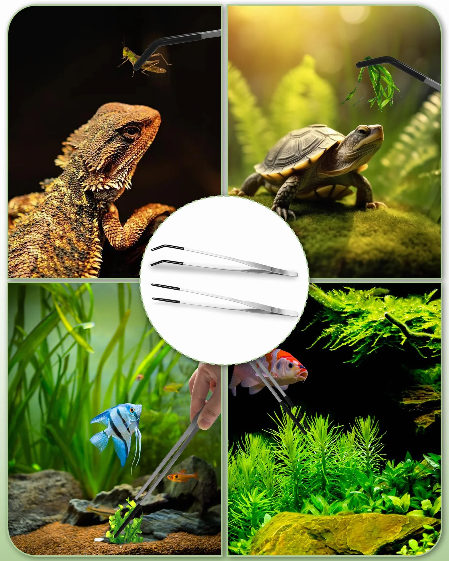 Lot de 2 Pinces pour Reptiles en Acier Inoxydable 27cm Droite et Courbée avec Embout Caoutchouc