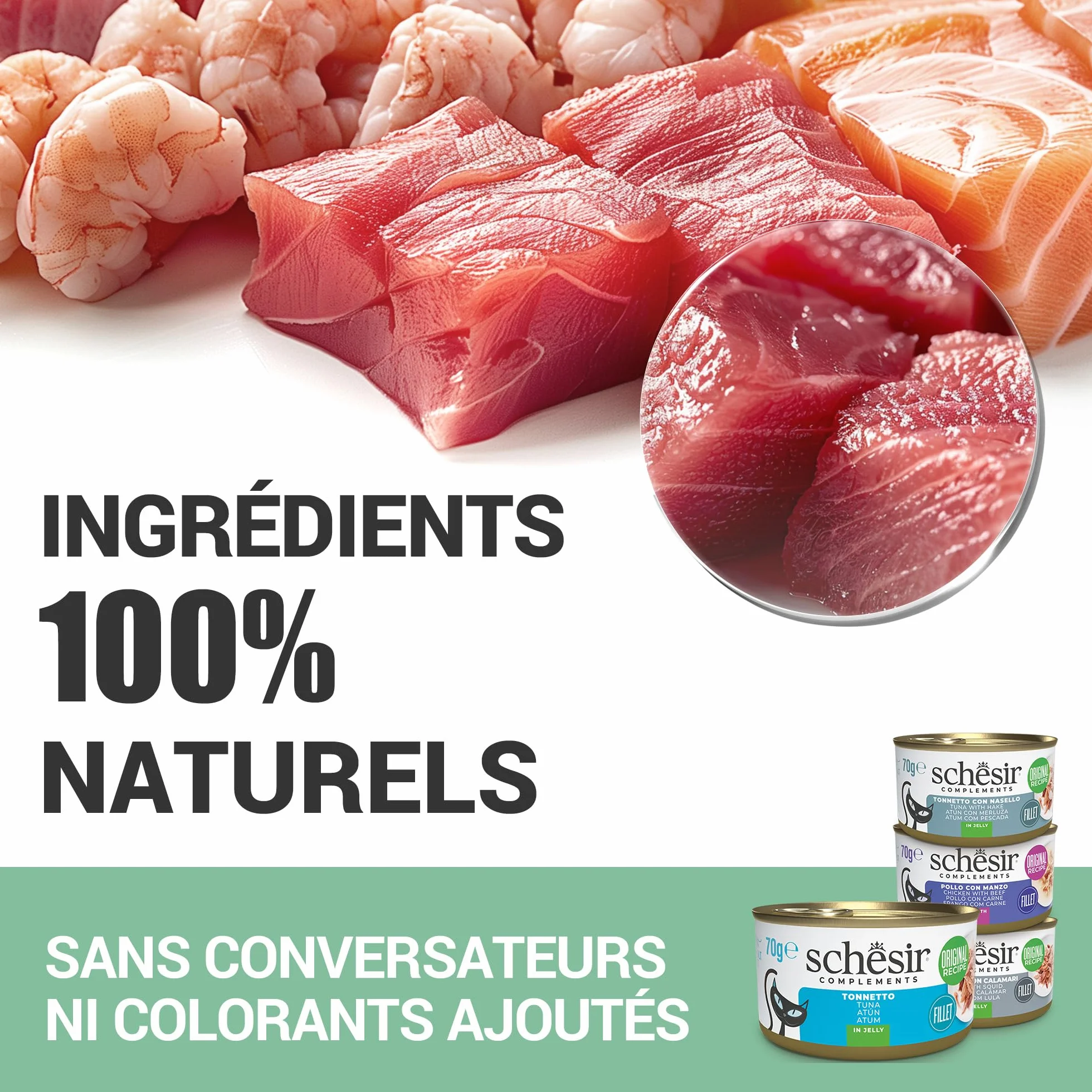 Schesir Filets de Thon et calmar Nourriture Humide pour Chats 12 sachets 40 g