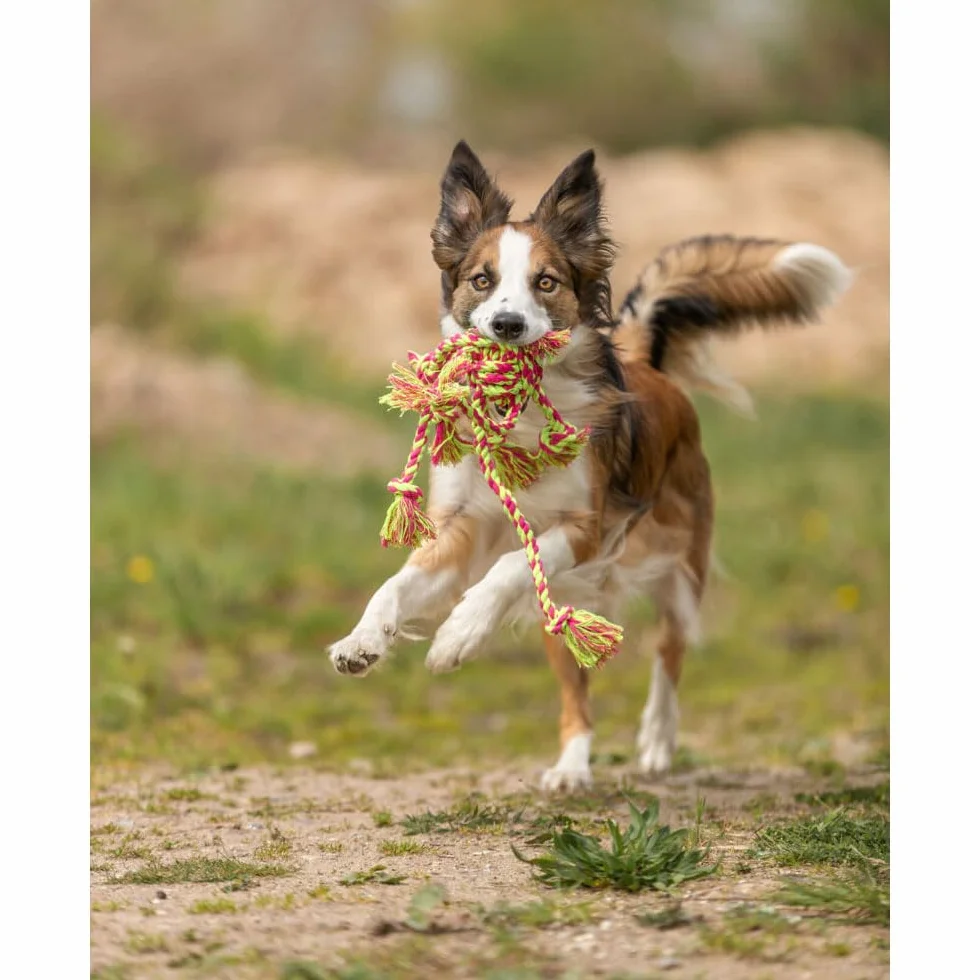 Trixie Denta Fun Jouet Corde pour chien avec balle tissée 44 x 7 cm
