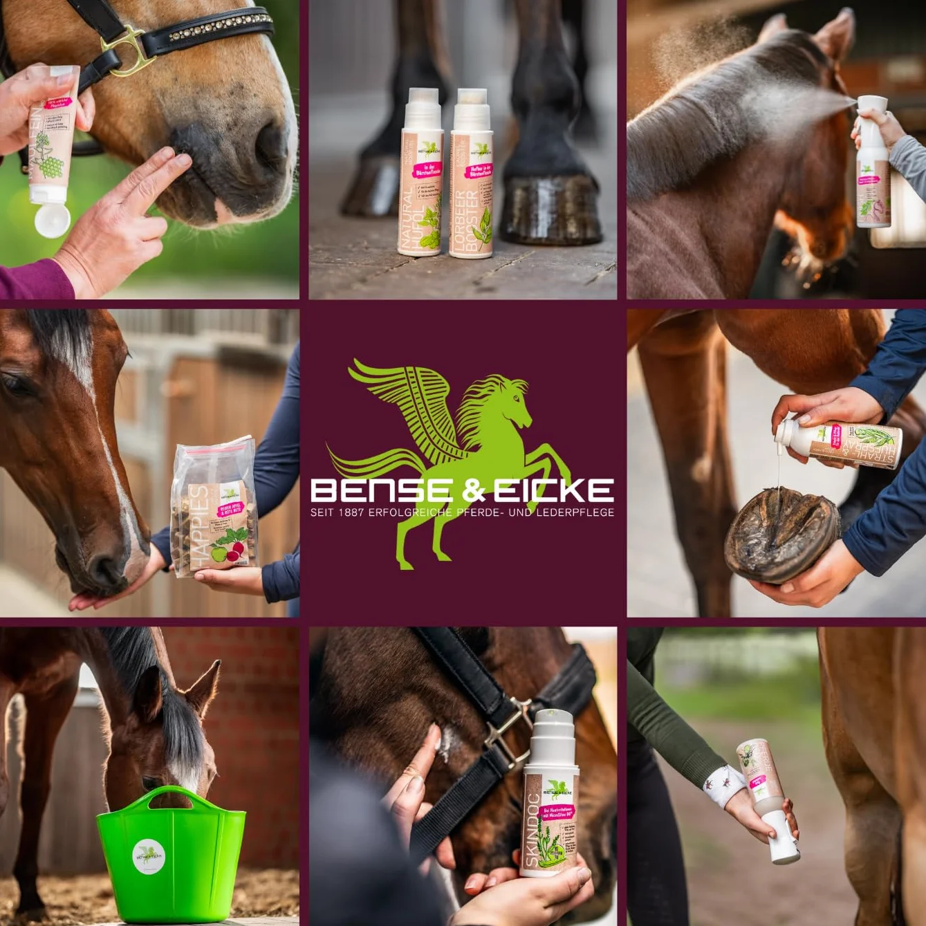 Bense & Eicke MaulFein Baume de soin naturel pour chevaux 100 ml