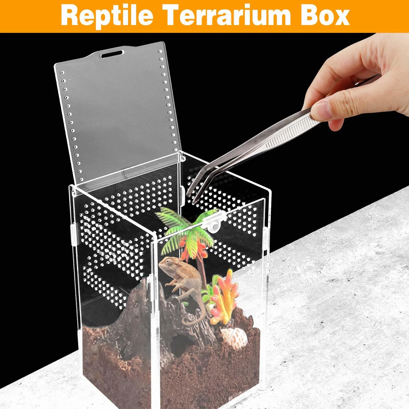 Terrarium Acrylique 20x12x12cm Boîte Alimentation Insectes Pinces Coude Anti-Évasion Portable
