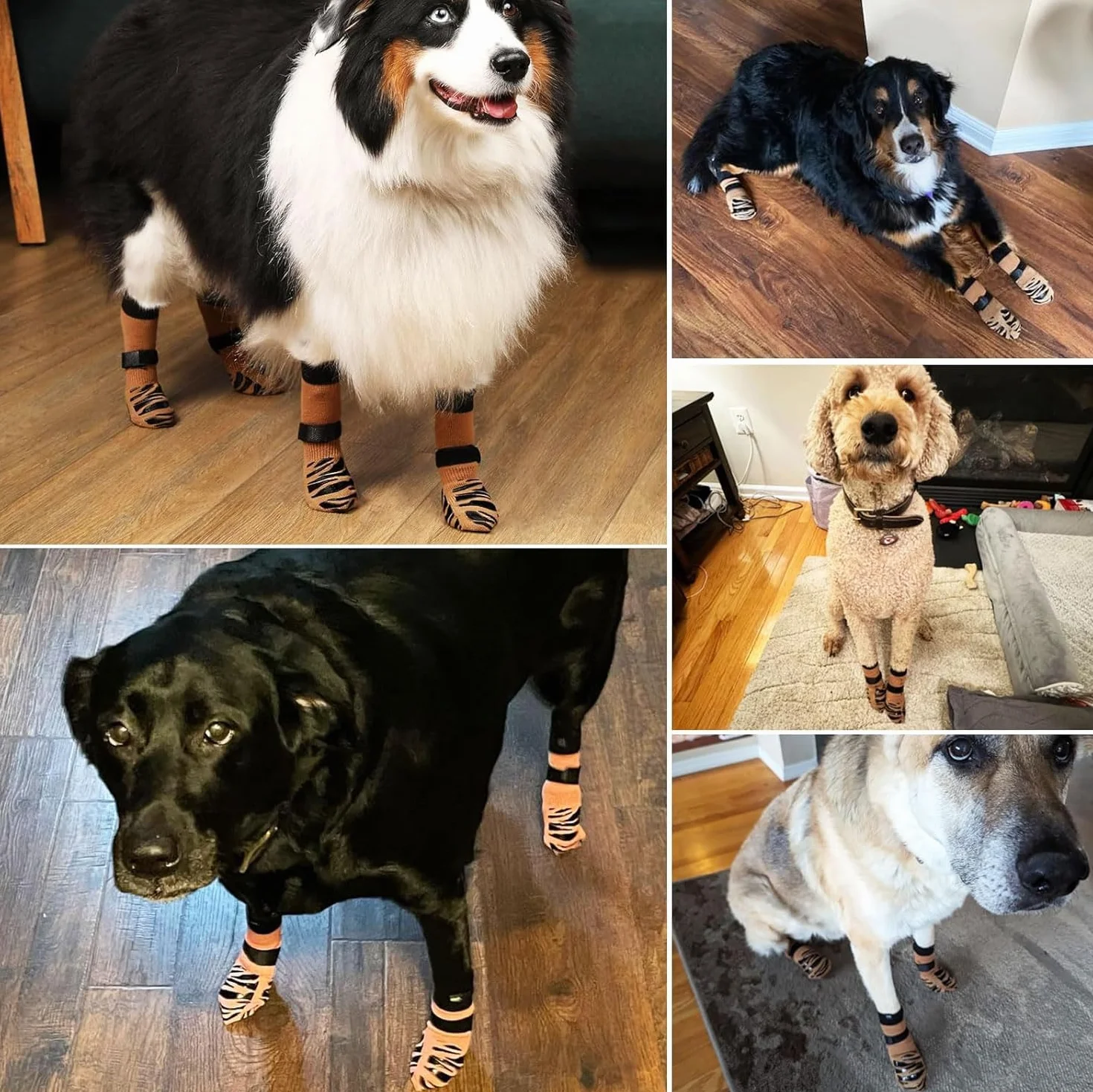 Chaussettes Antidérapantes pour Chien – Double Face pour Sol en Bois, Protège-Pattes (S)