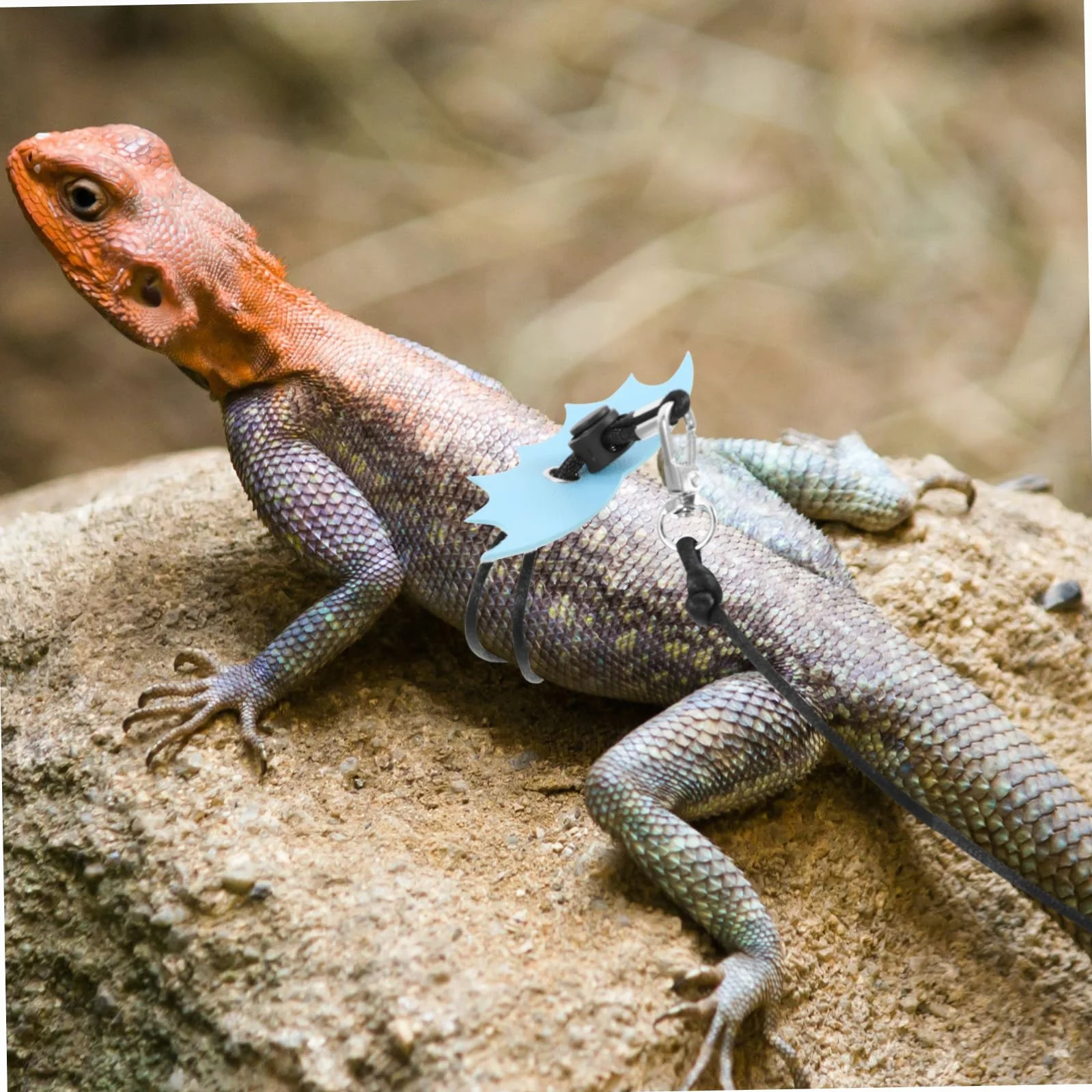 Laisse Réglable pour Reptiles Lézards Petits Animaux Design Unique Sorties Extérieur