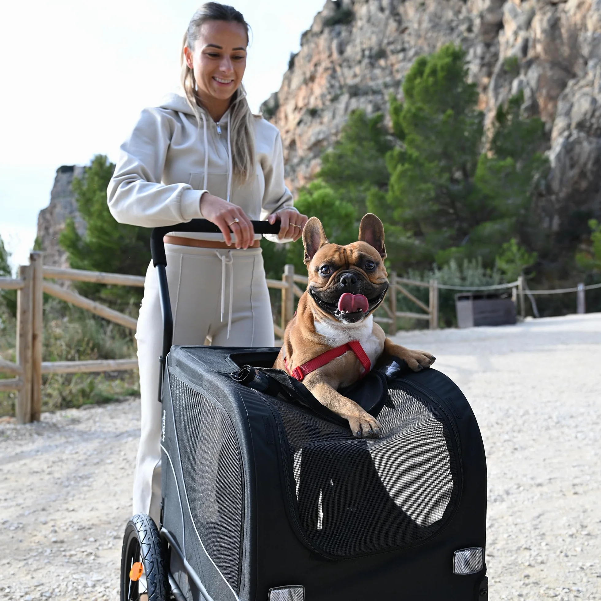 Deryan Remorque Velo Chien 3 en 1 Pliable avec Reflecteurs, Charge Maximale 20 kg, Noir