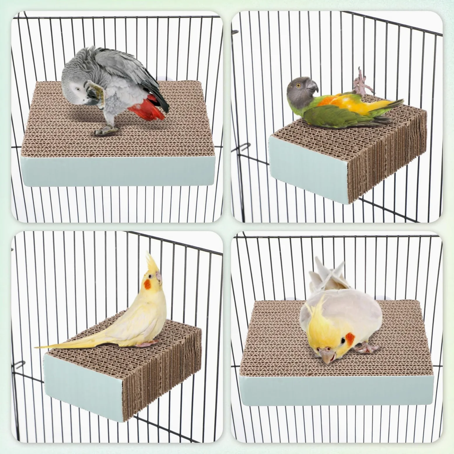 Nuanchu Lot de 6 perchoirs à oiseaux en carton pour perroquet, plate-forme de meulage de pattes d'oiseaux, cage à perroquet, moineau, perroquet, perruche, calopsitte, inséparable