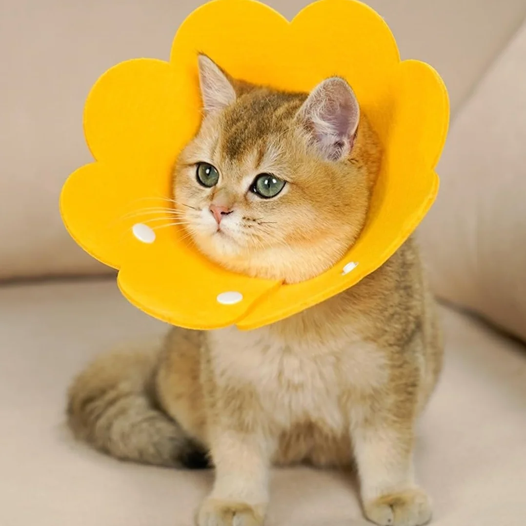 JEYORZY Collier de Protection Doux pour Chats Anti-Morsure Taille S Jaune Felt