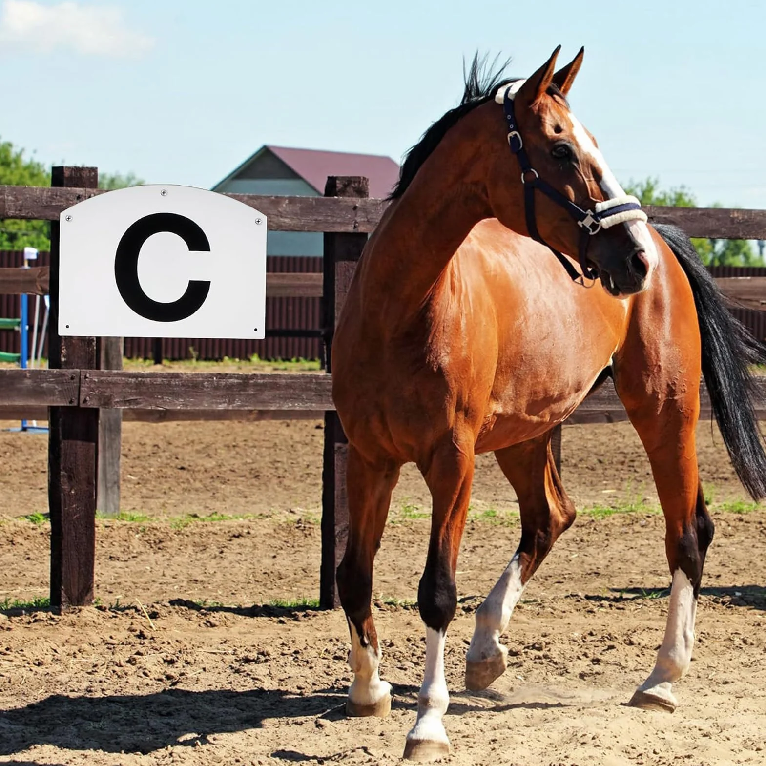 Dressage Markers 8 Pieces Sturdy Letter Marks Complete Set