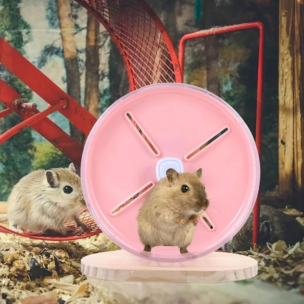 Roue de Course silencieuse pour Hamster, Ours doré, Tapis Roulant, Balle de Course avec Support, Fournitures de Petits Jouets pour Animaux de Compagnie