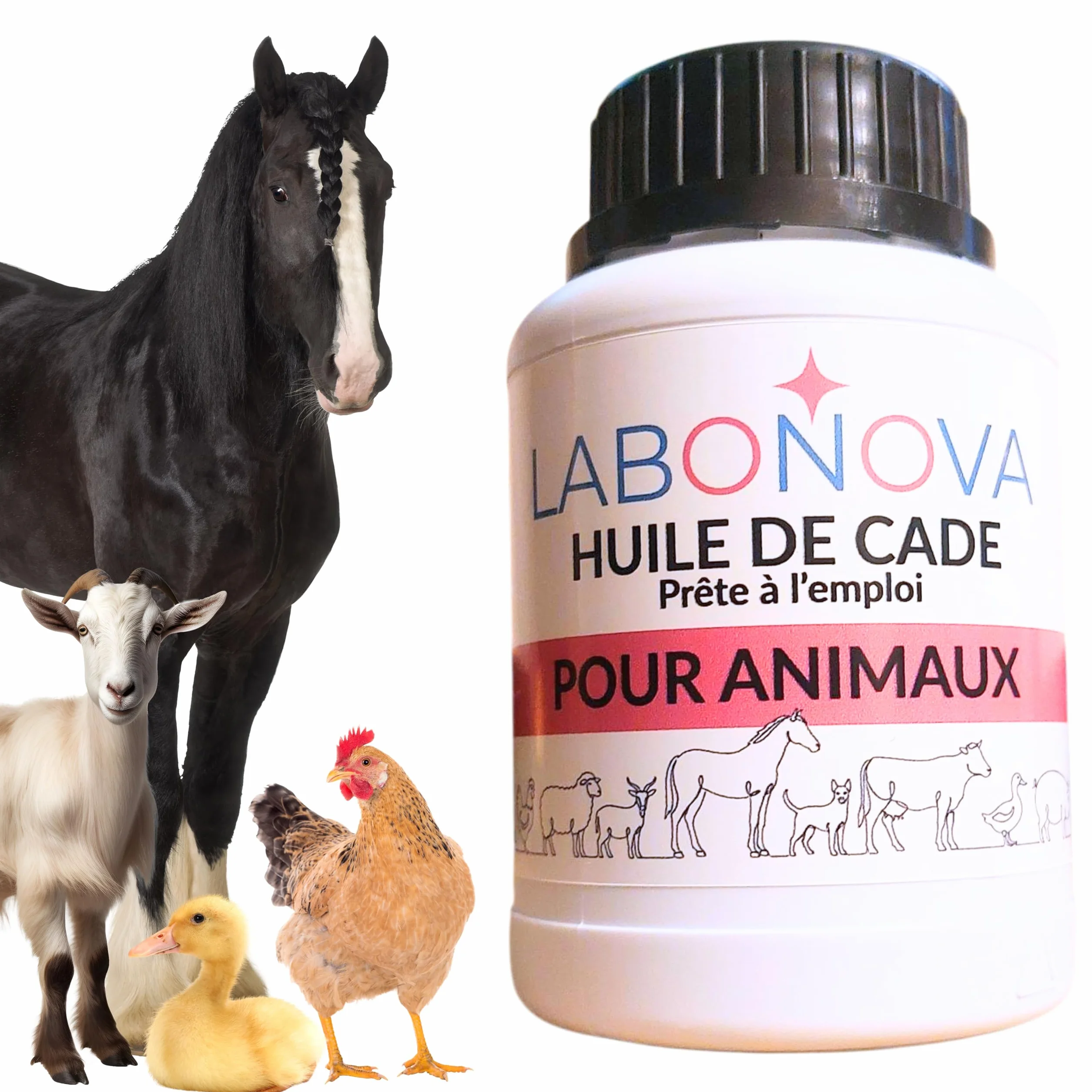 Huile de cade prête à l'emploi pour animaux 250 ml - Soins peau, pieds, sabots