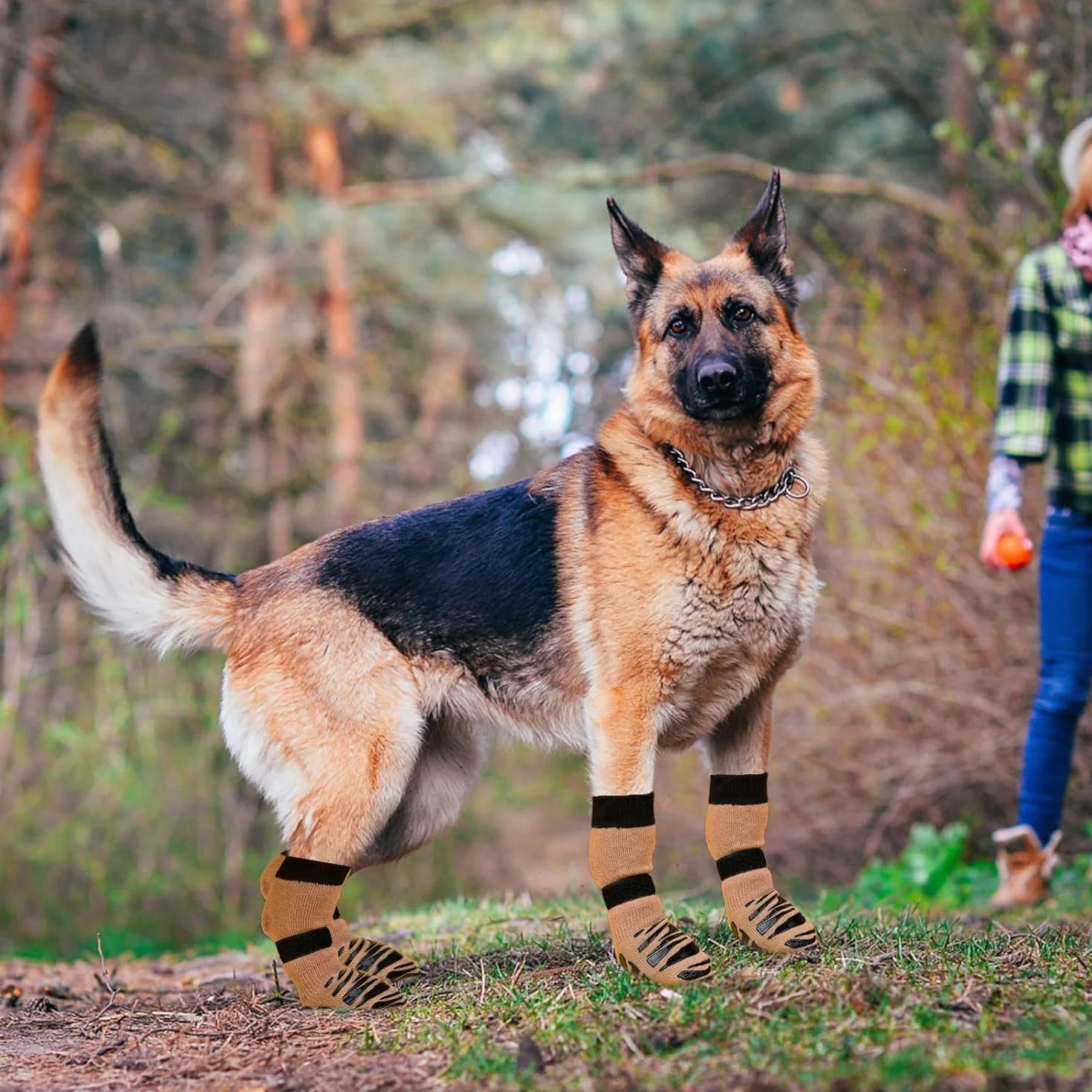 Chaussettes Antidérapantes pour Chien – Double Face pour Sol en Bois, Protège-Pattes (S)