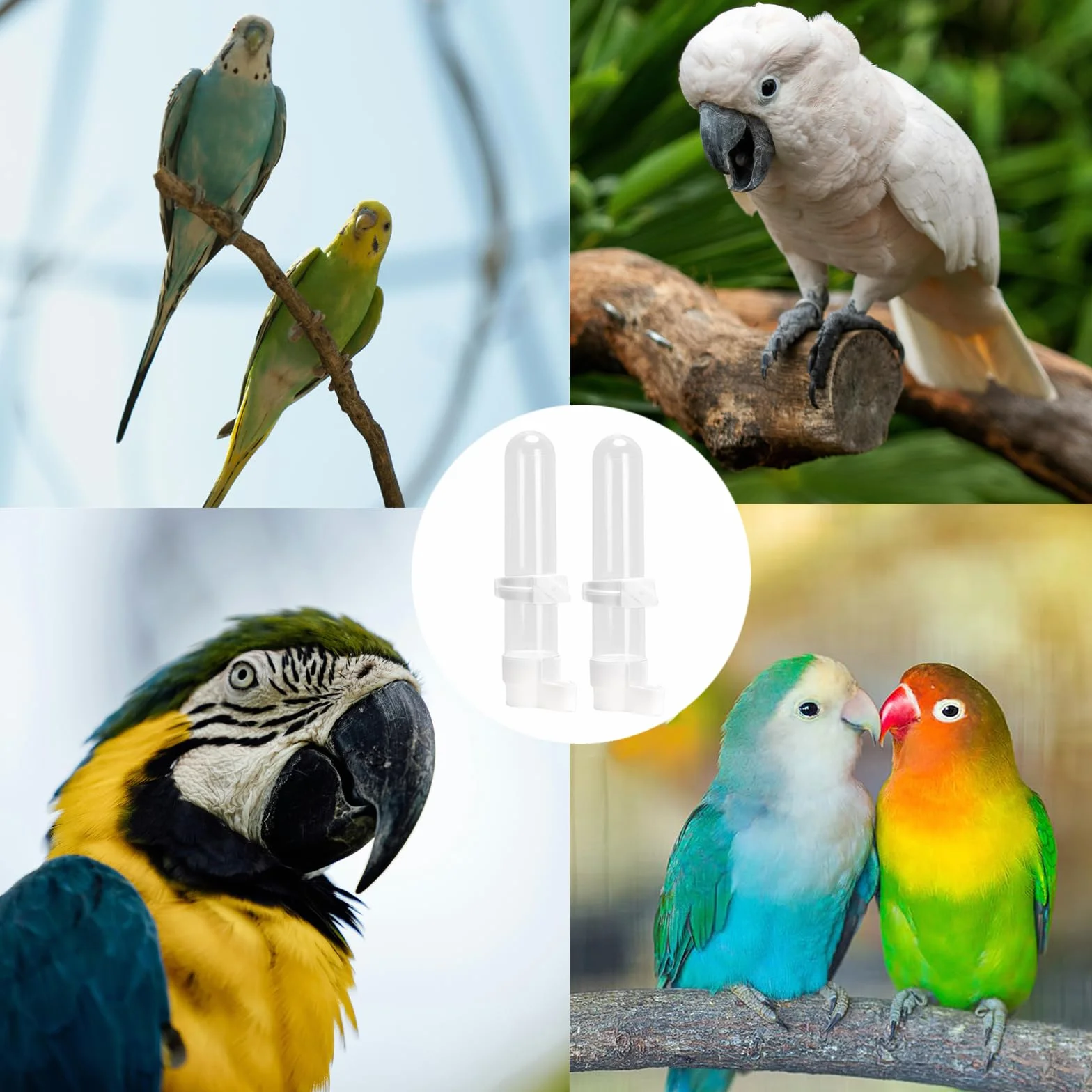 Abreuvoir Oiseaux Automatique 2 Pièces 120 ML Distributeur d'Eau et Aliments pour Perroquets Perruches Calopsittes