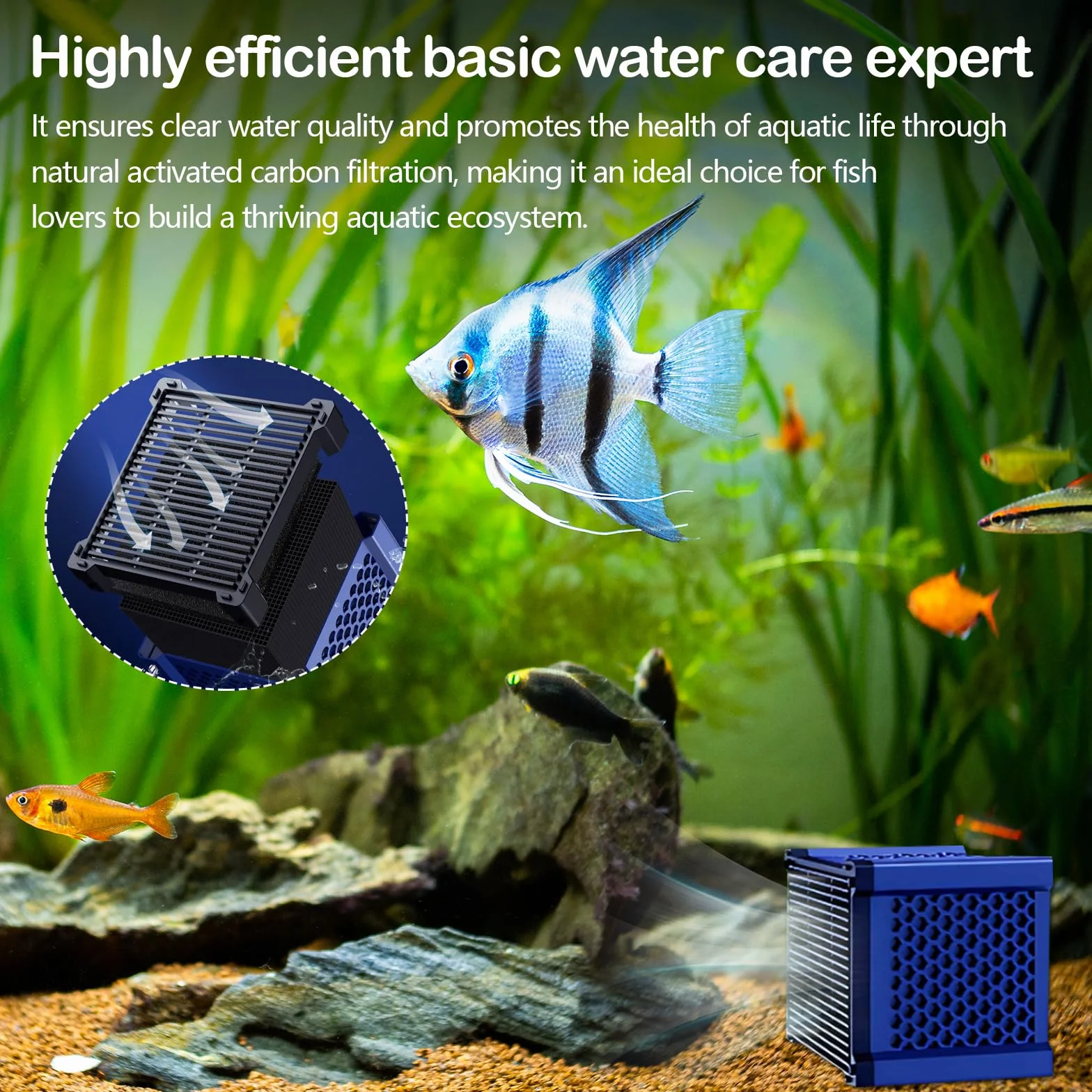 Lot de 2 Cubes Purificateurs d'eau pour Abreuvoir à Chevaux, Filtre à Charbon Actif