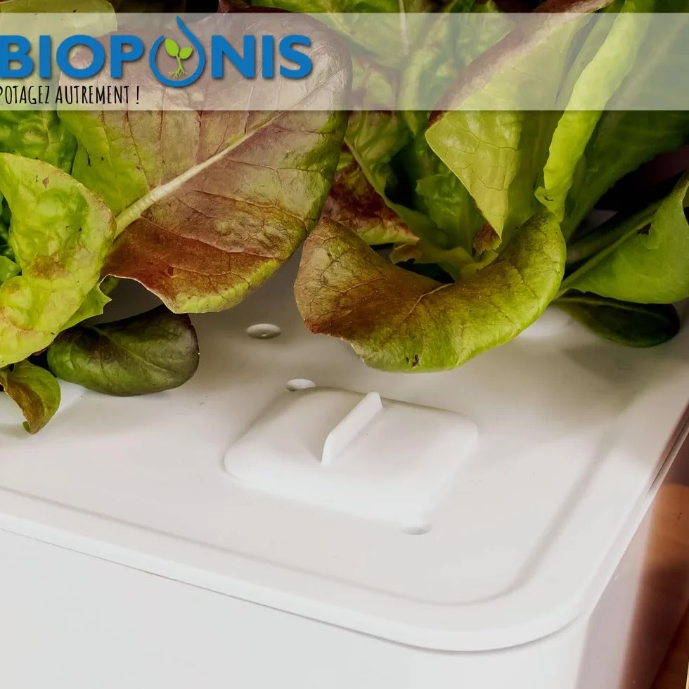 Bouchon Noir pour Potager d'Intérieur Hydroponique - Lot de 10