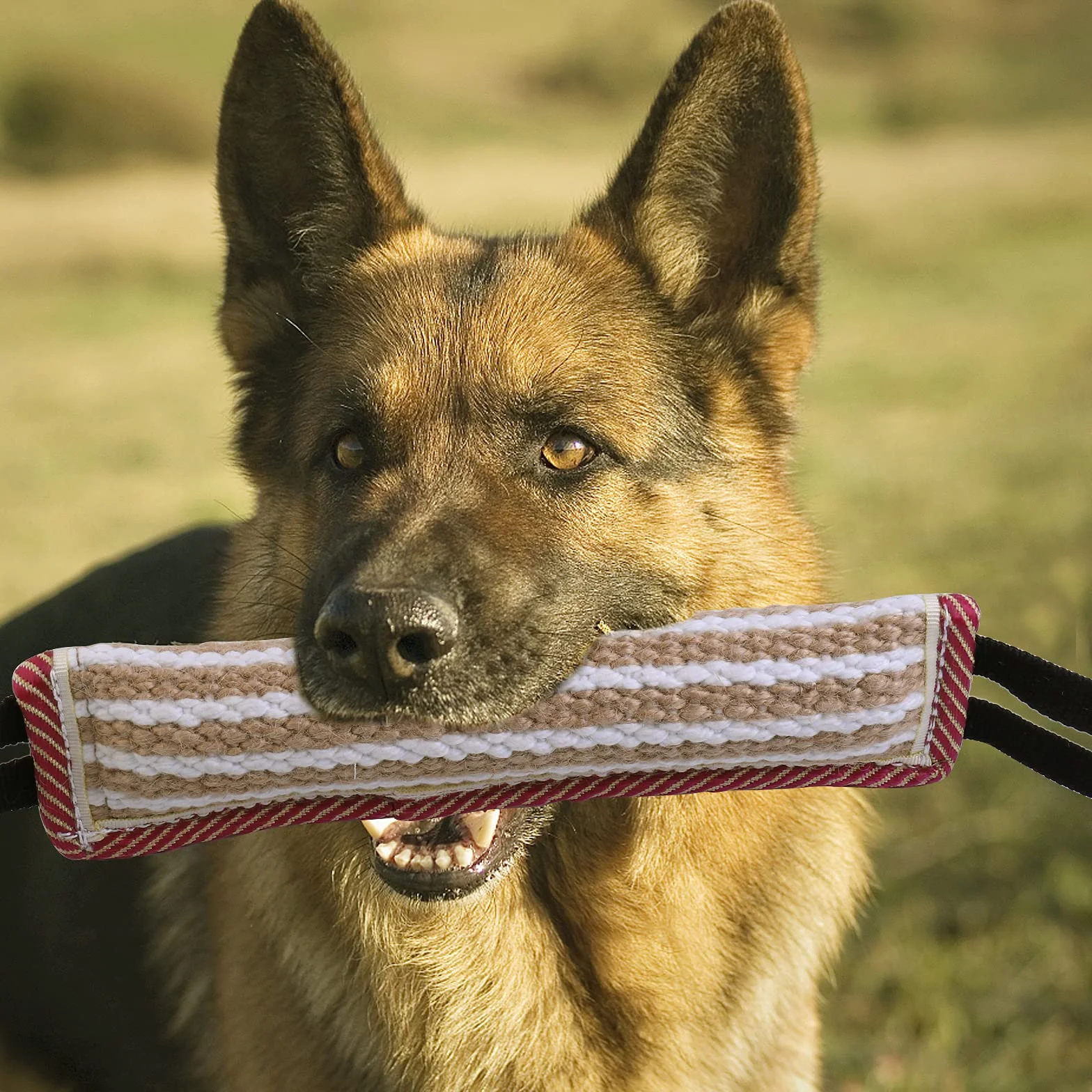 Lot de 2 Jouet Chien Indestructible Corde avec Anses pour Jeux et Entraînement