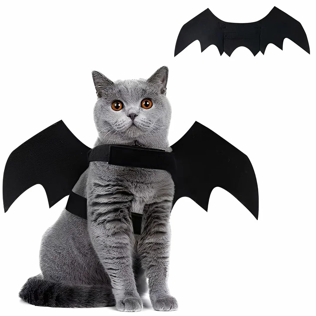 Costume d'Halloween pour Chat avec Ailes de Chauve-Souris