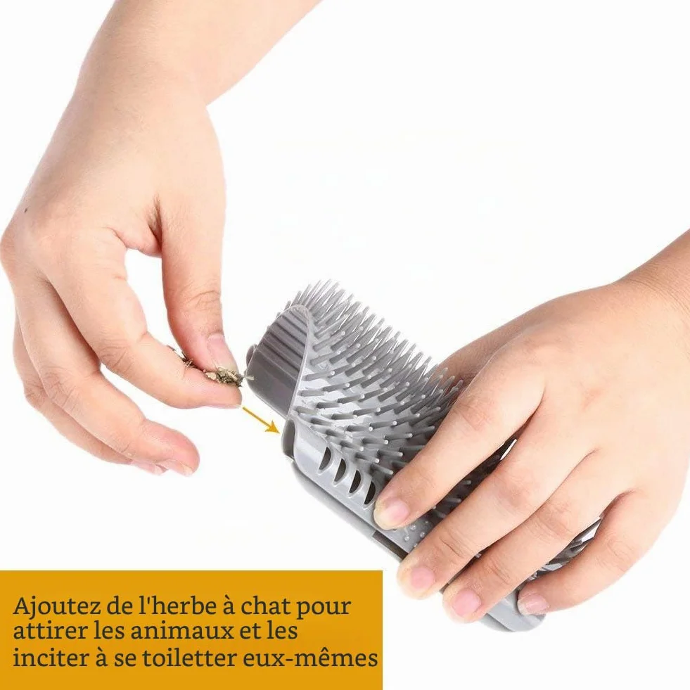 Auto Toiletteur pour Chat 3.0 Plus Doux avec Herbe, Brosse de Massage Mural, Self Groomer, 1 Paquet