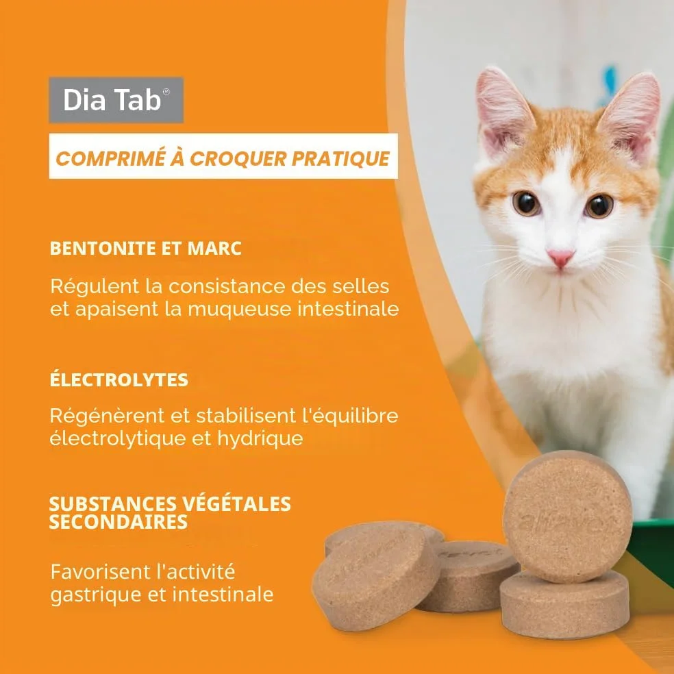 alfavet Dia Tab, complément Alimentaire diététique pour Chiens et Chats, comprimés à mâcher Contre la diarrhée et Les vomissements, 60 x 5,5 g