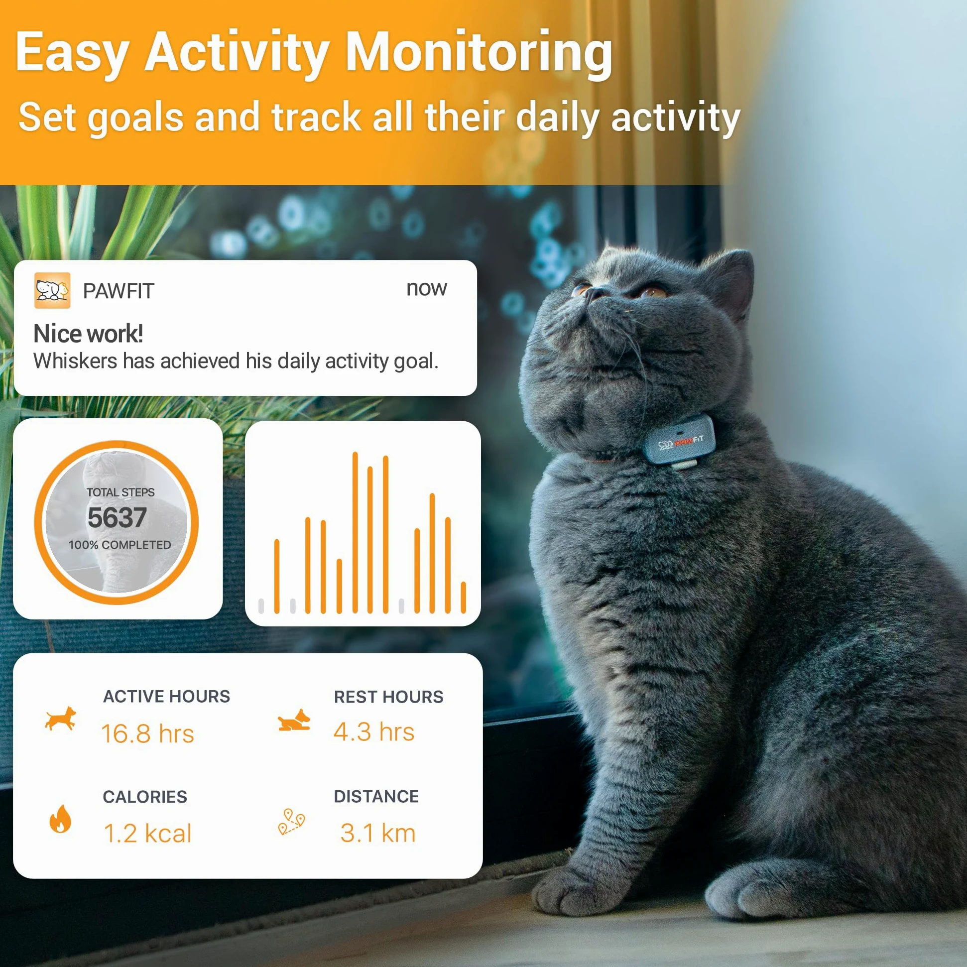 Pawfit Lite 4G Traqueur GPS pour chat, suivi en direct, ultra léger, gris lilas