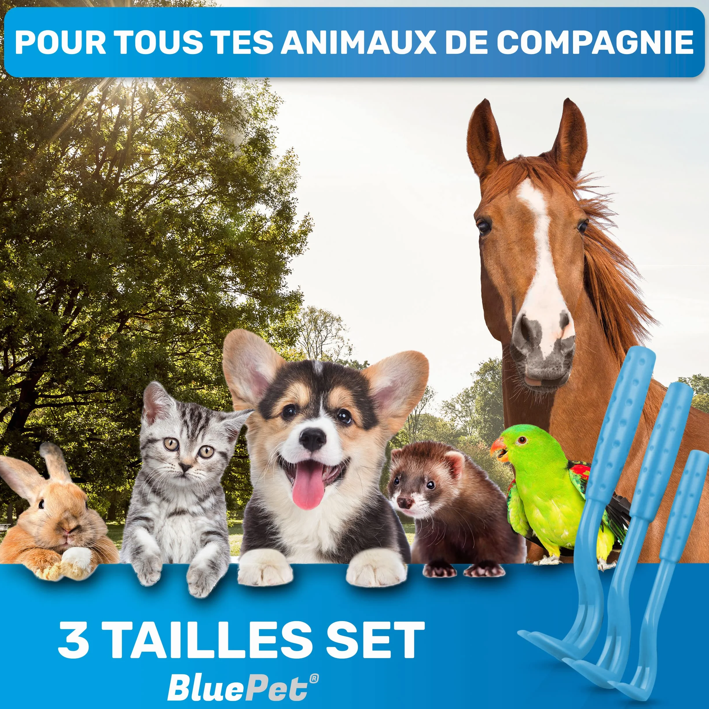BluePet Tire Tique pour Chiens Chats Humains Crochet à Tiques Retireur Pince