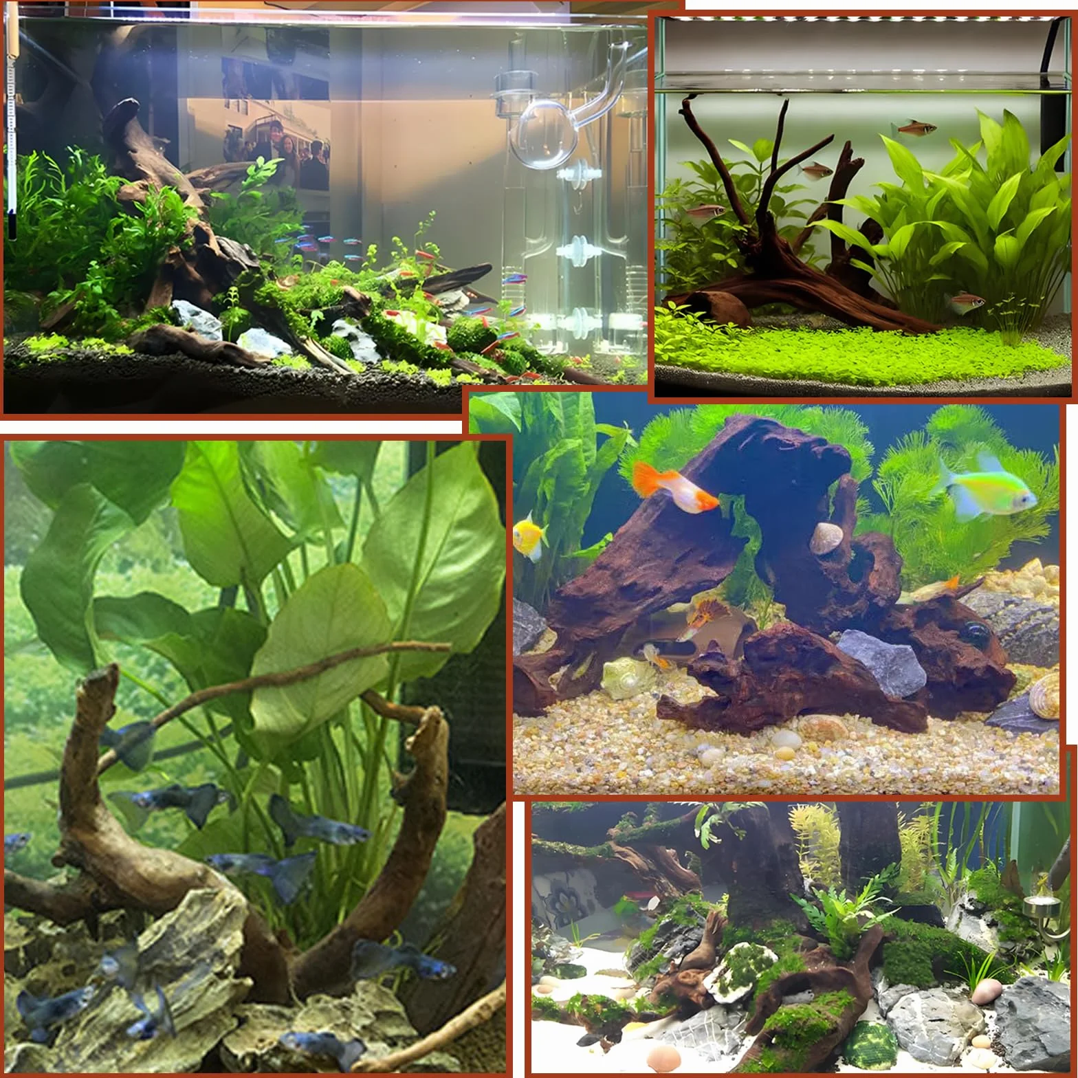 Aquarium Décoration Bois Flotté Branche Décorative Racine Flottant 4 Pièces