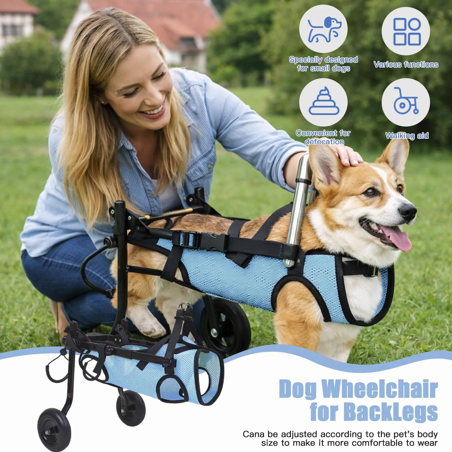 Fauteuil roulant pour chien - Pour pattes arrière - Chariot d'aide à la mobilité réglable - Cadre en aluminium léger pour petits chiens/chats - Paralysie, handicap (bleu, XS (poids jusqu'à 3,5 kg)