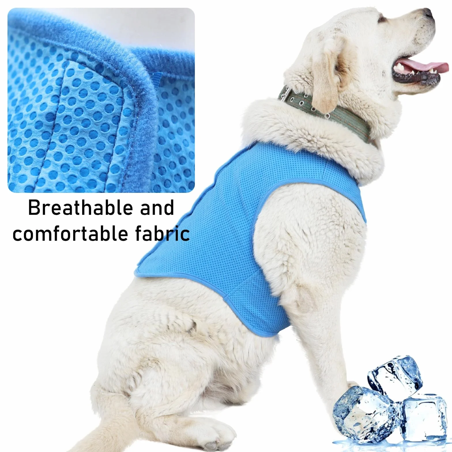 Gilet Rafraîchissant pour Chien, Veste Légère pour Animaux (M, Bleu)