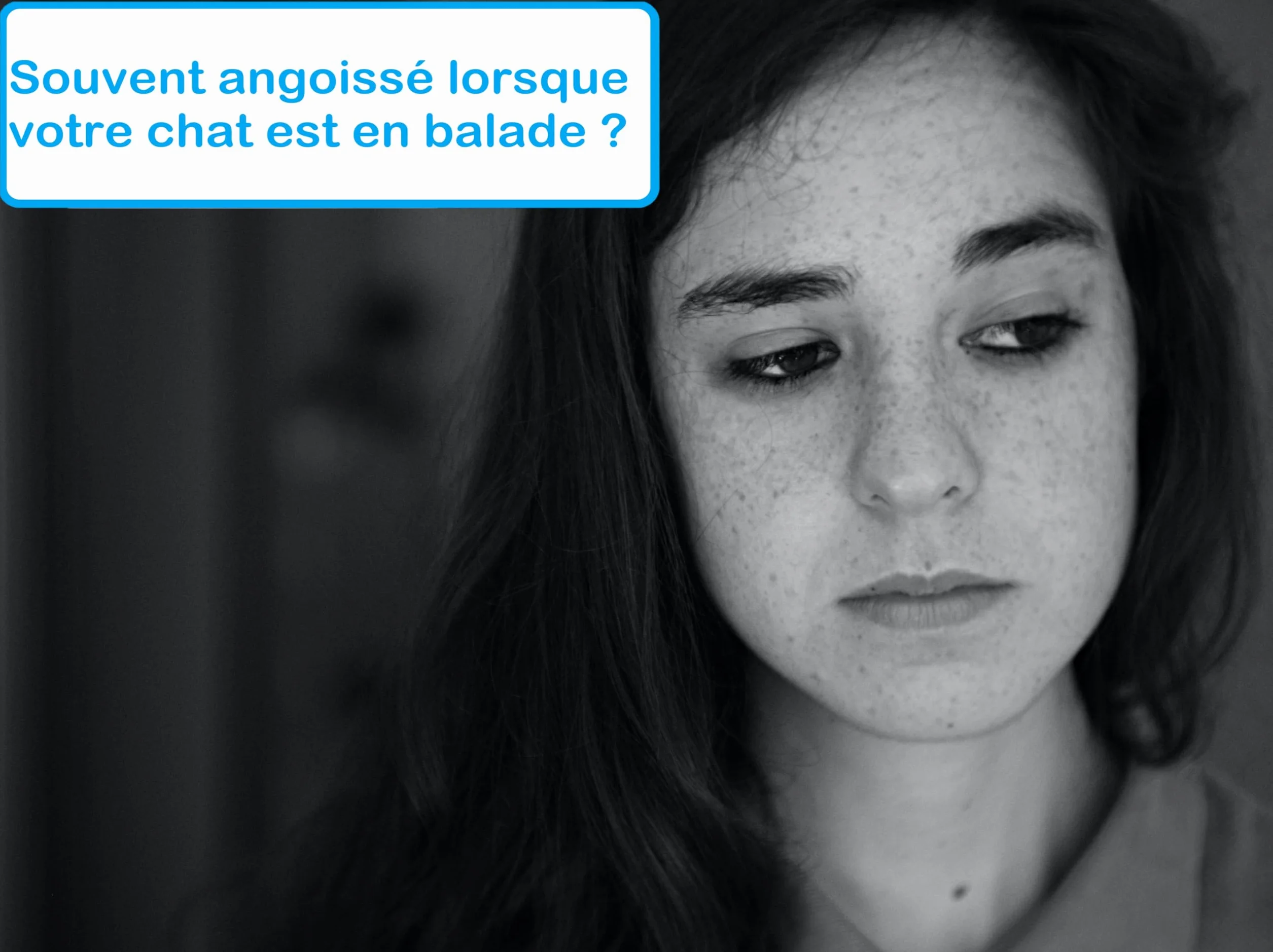 Collier Chat Anti-Étranglement Réfléchissant Bleu à Carreaux Waldoly Sérénité avec Étui Détachable pour Étiquette Personnalisée et Clochette Amovible