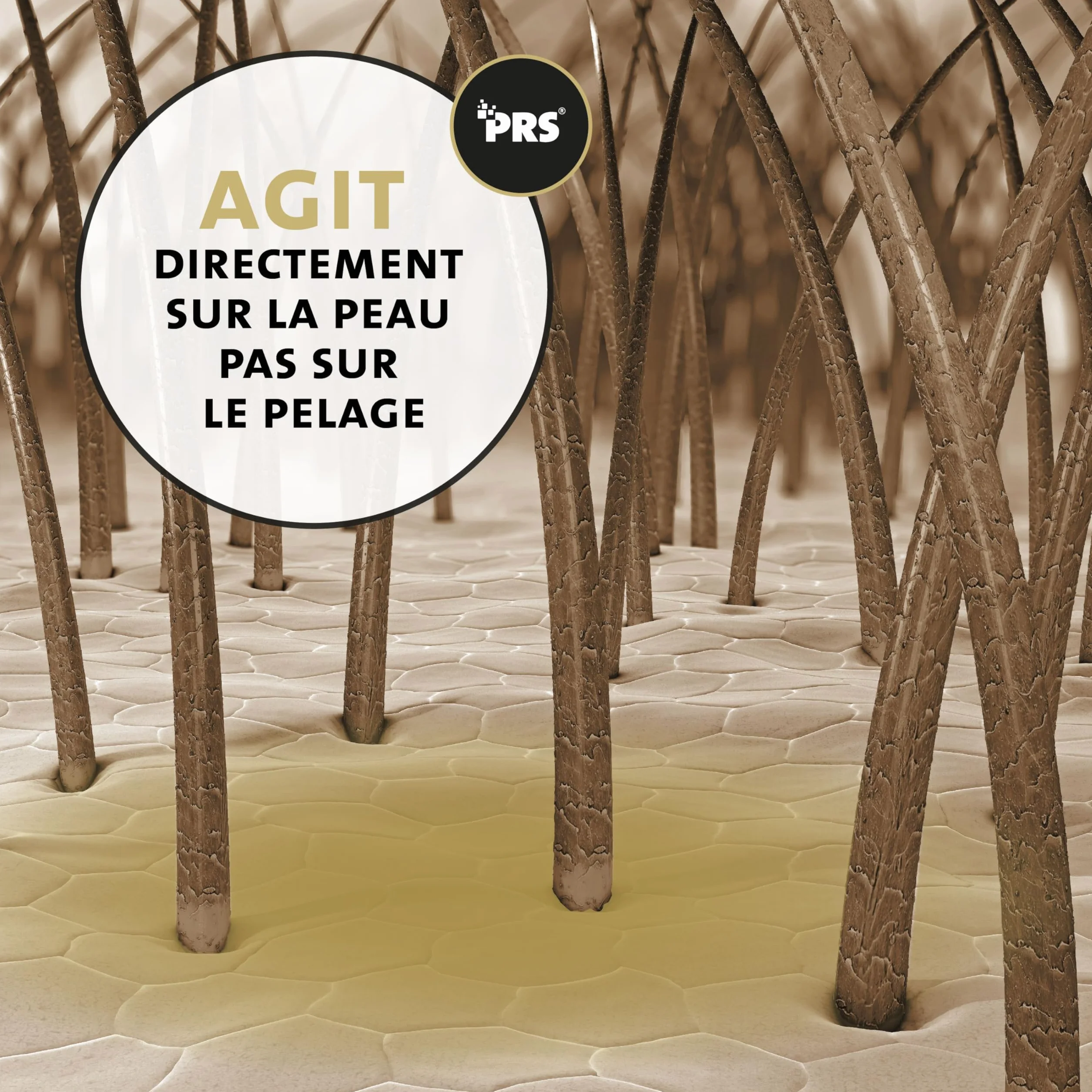 Peticare Lotion antiparasitaire pour Chevaux – PRS à libération prolongée – Contre acariens, puces, champignons