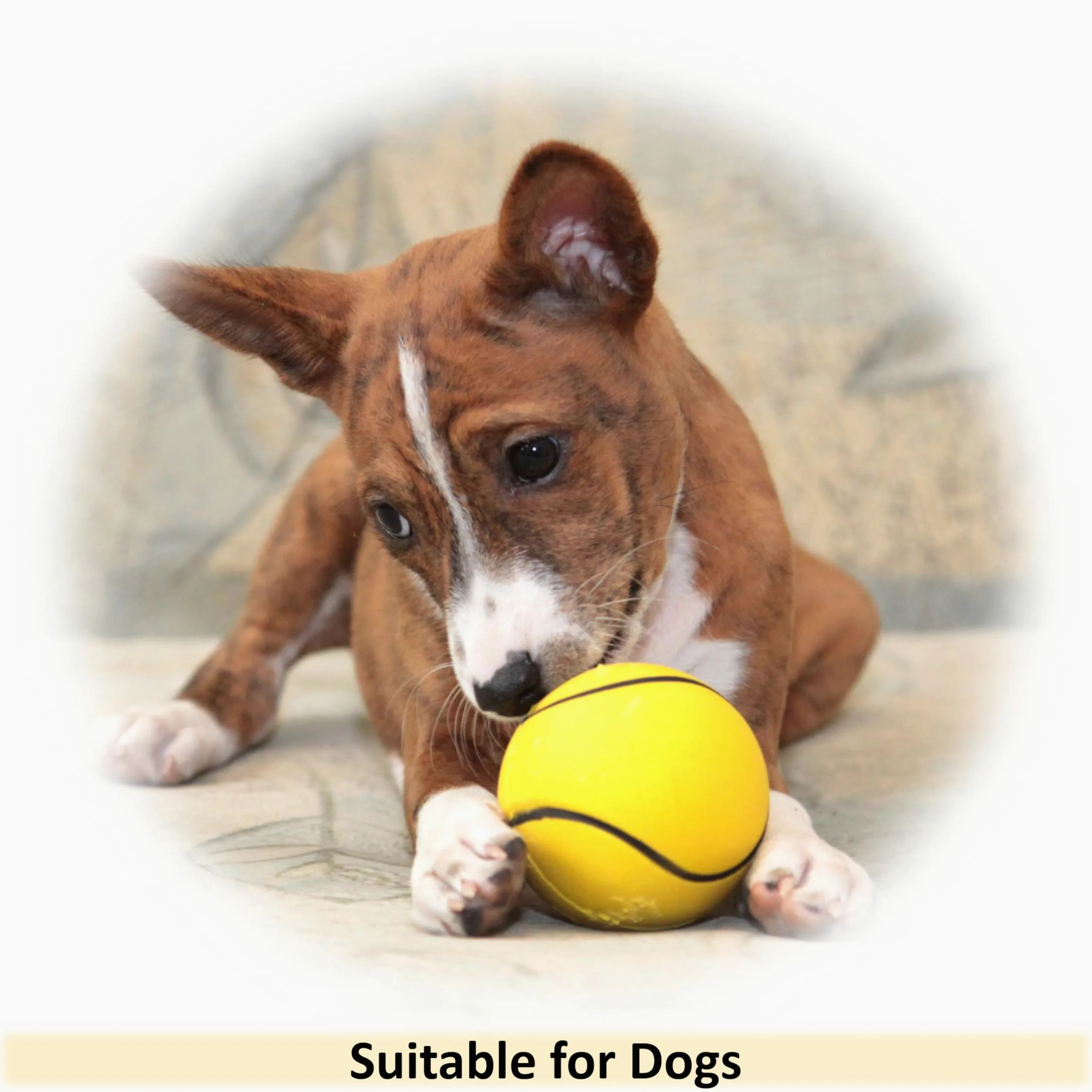 Lot de 16 balles flottantes en caoutchouc pour chien - 6 cm - Jouet flottant à rebond élevé - Noyau solide - Éponge - Jouets interactifs pour chiots, chiens de petite et moyenne taille