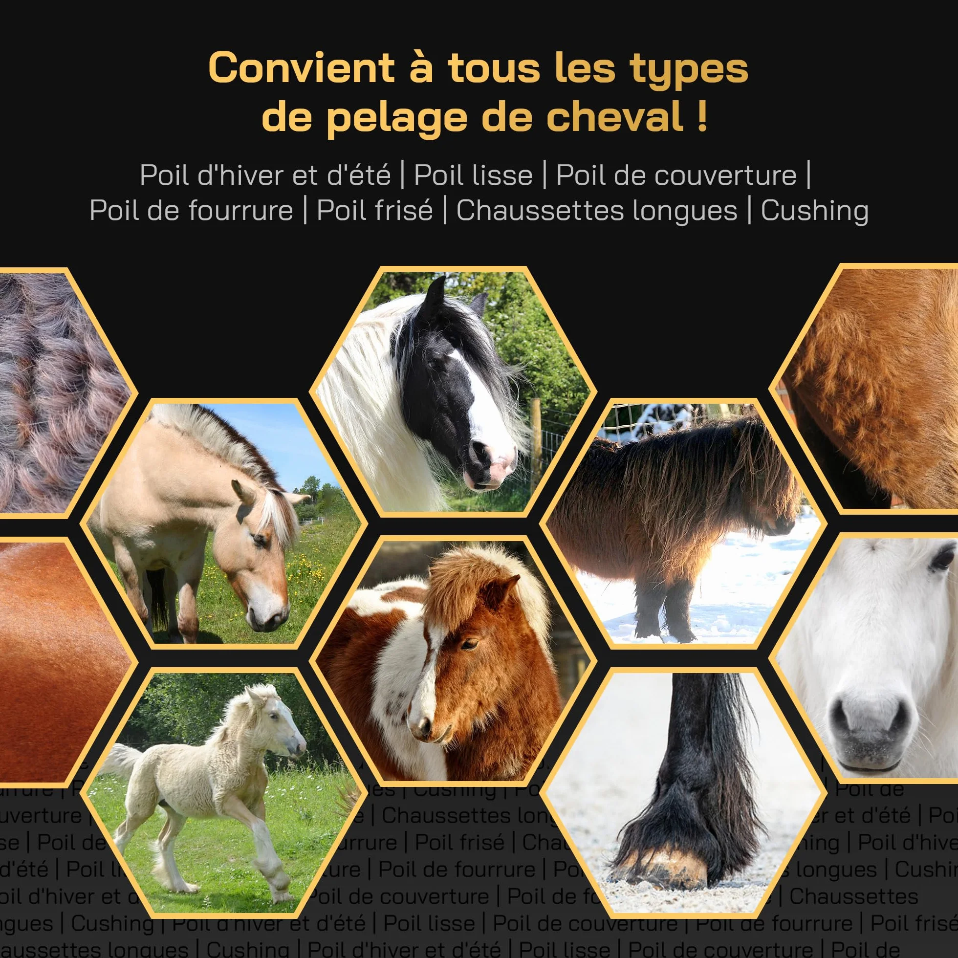 Tondeuse pour Chevaux Silencieuse Faibles Vibrations Lames Interchangeables