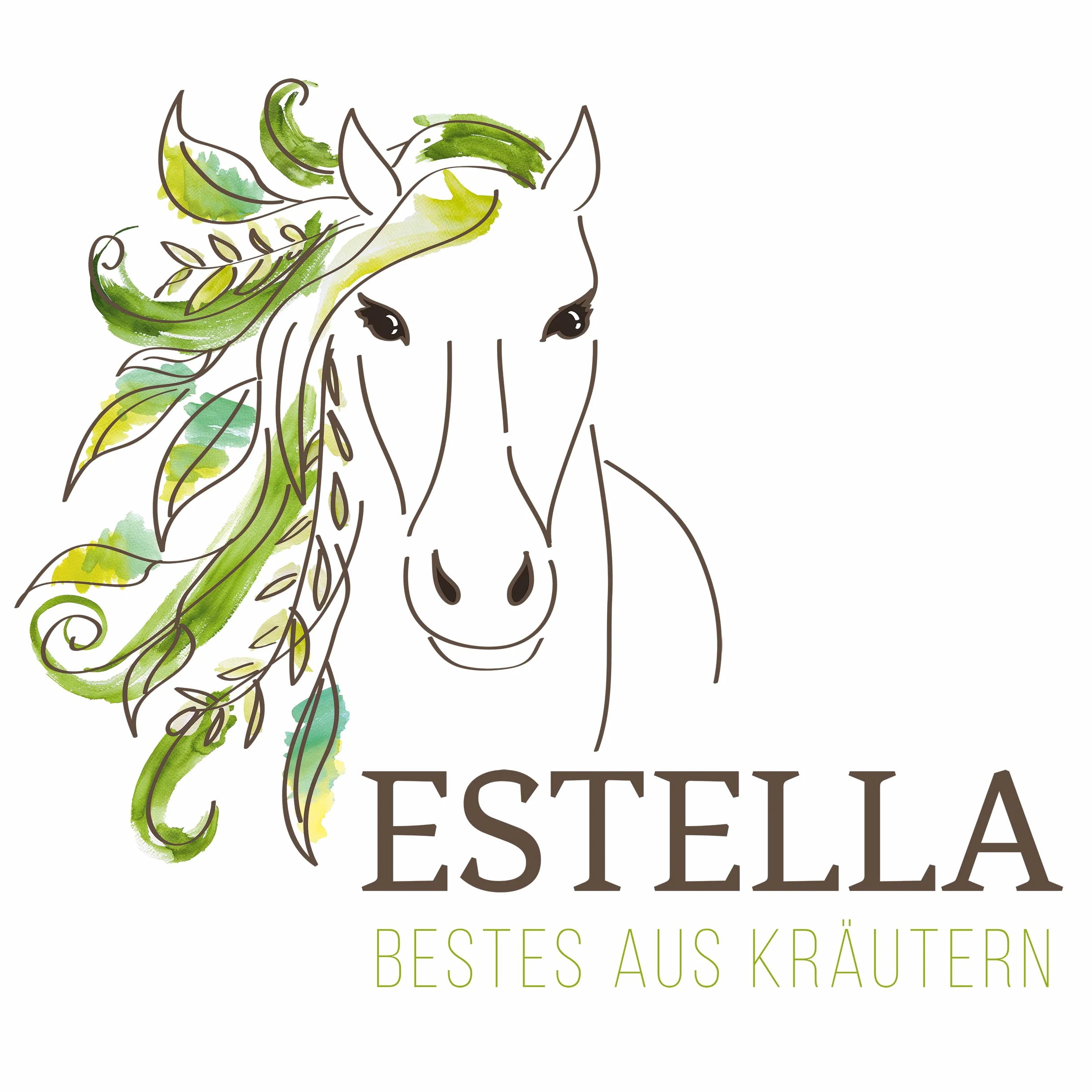 ESTELLA Jus de griffe du diable 1000 ml Complément alimentaire liquide pour chevaux