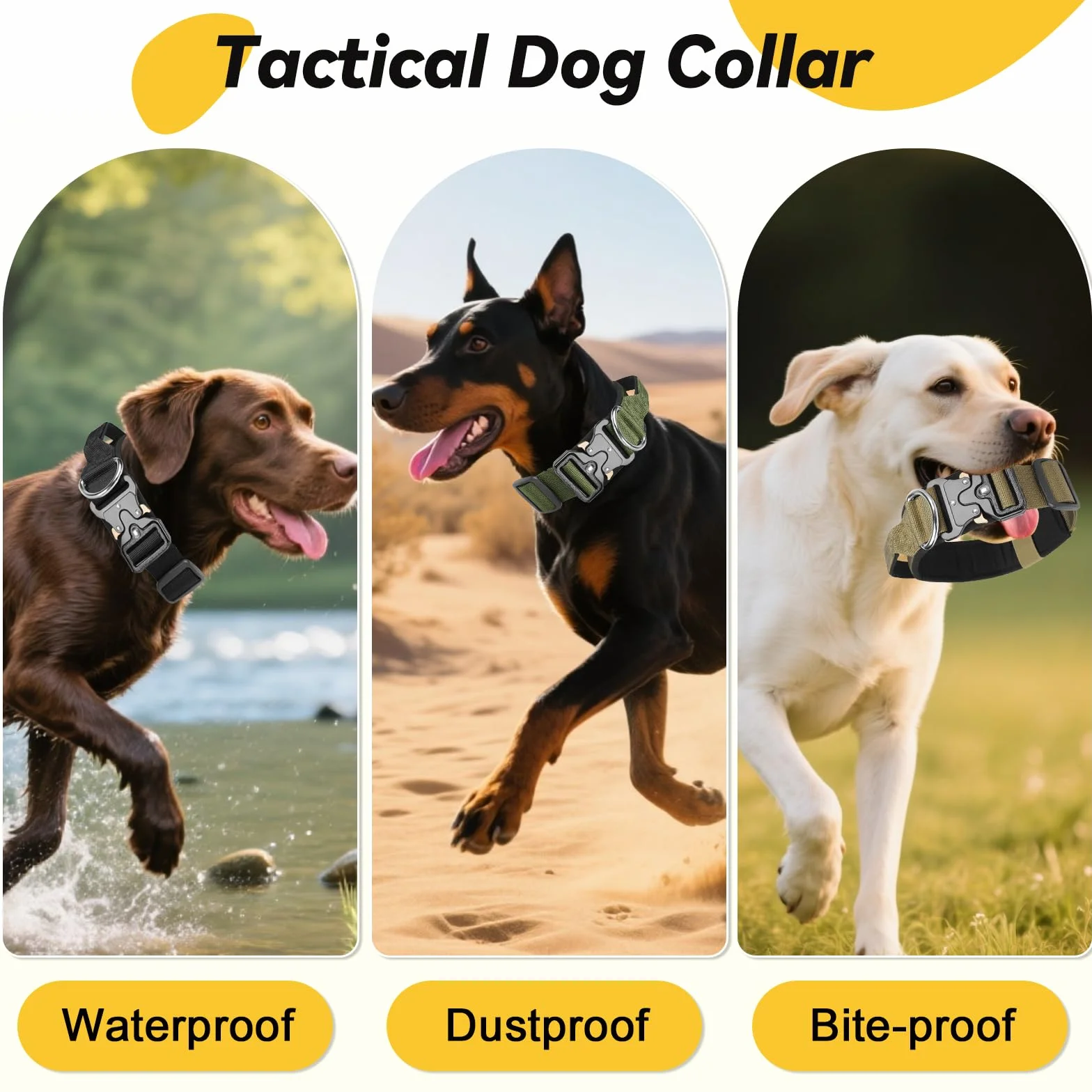 Collier Tactique pour Chien Durable Nylon Réglable avec Poignée Boucle Métal Noir XL