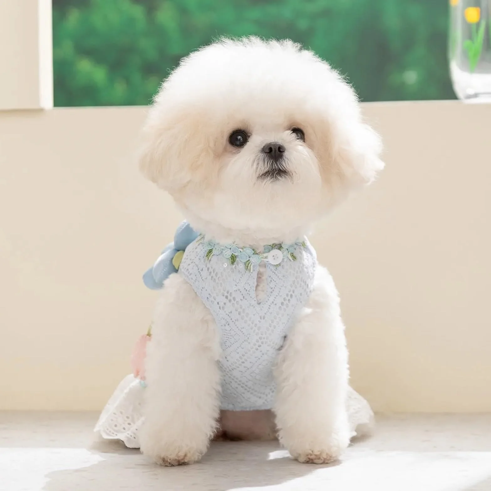 Robe Teddy à Fleurs Bleues pour Petit Chien, Pull Fin de Campagne, Jupe Respirante pour Animaux de Compagnie XL