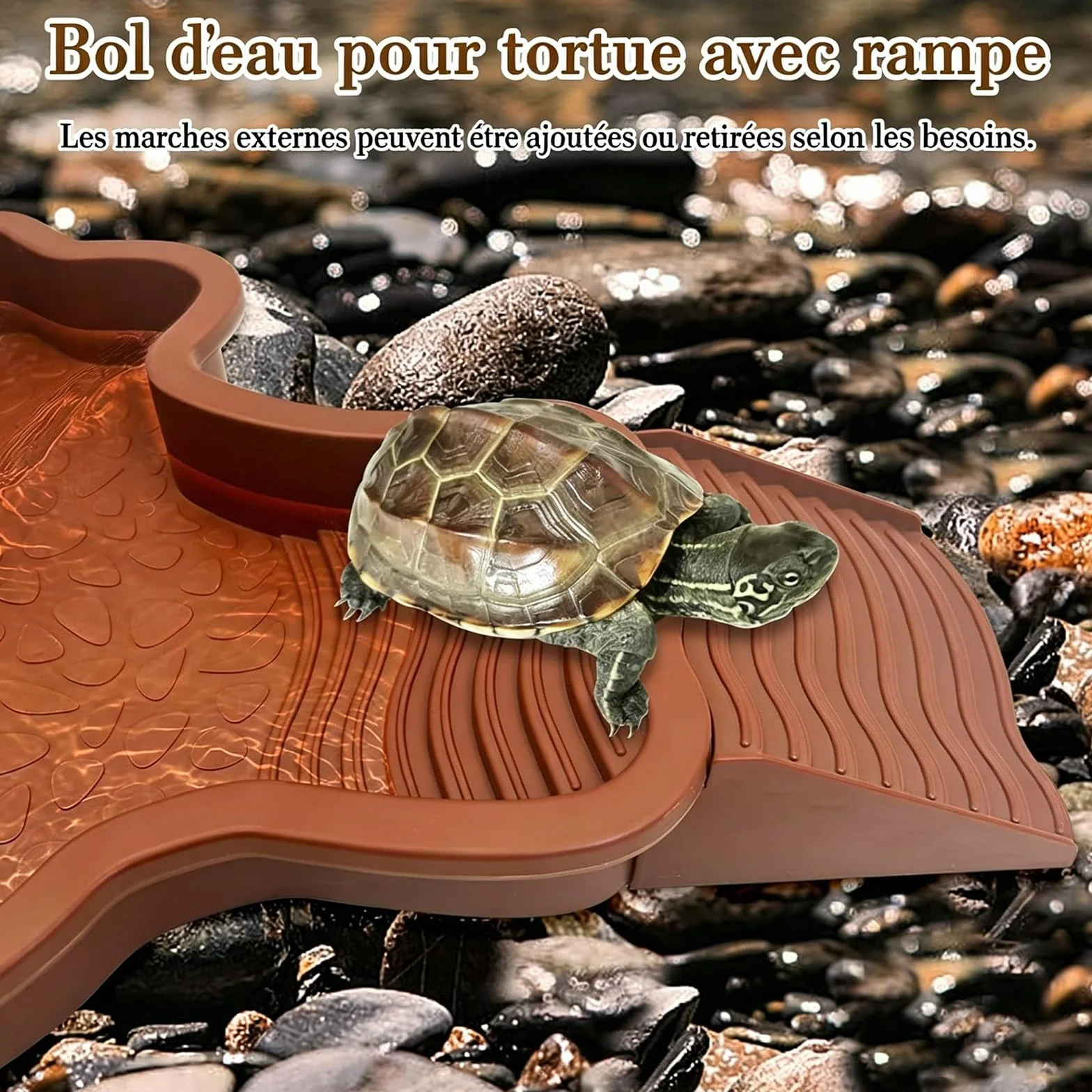 Abreuvoir Tortue Terrestre 35x28.5x4.3cm Piscine avec Rampe Détachable pour Tortues Lézards Gecko Amphibien Rouge Brun