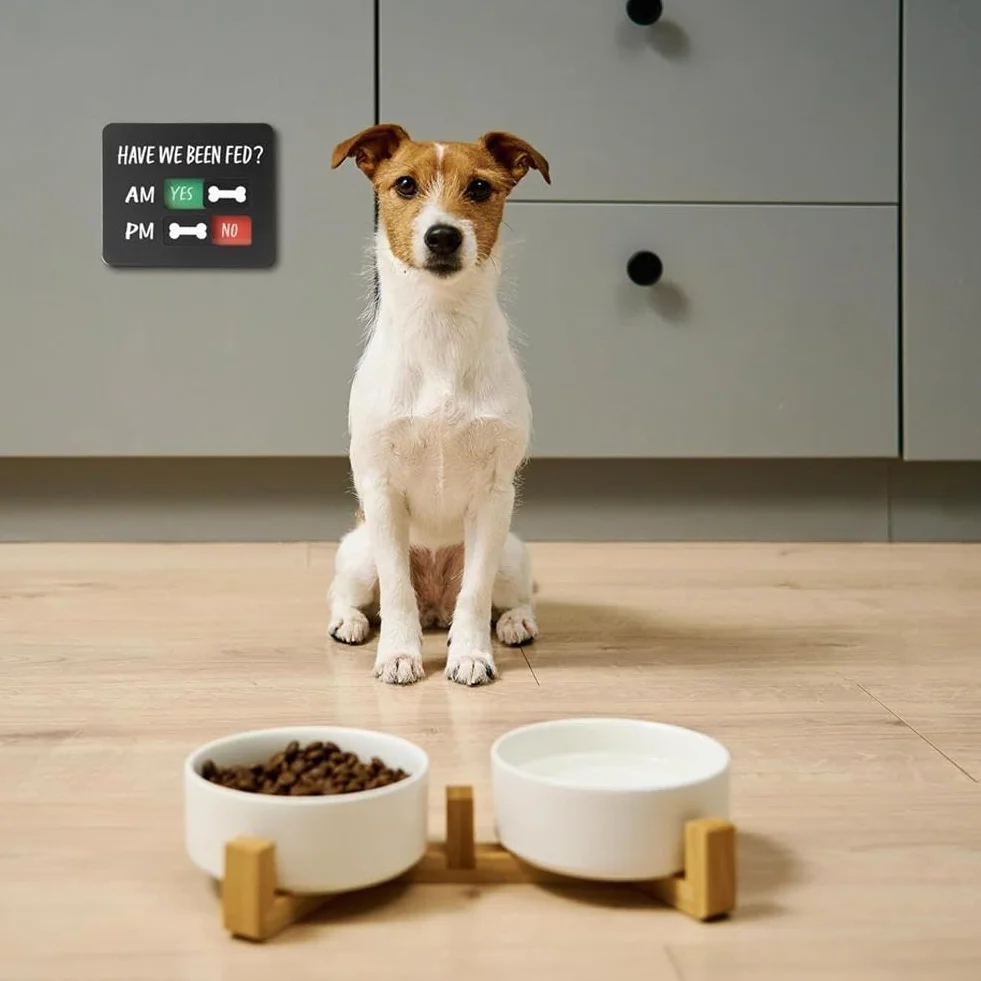 Rappel d'alimentation pour animaux de compagnie avec aimant, support en T « Have We Been Fed », panneau coulissant en acrylique