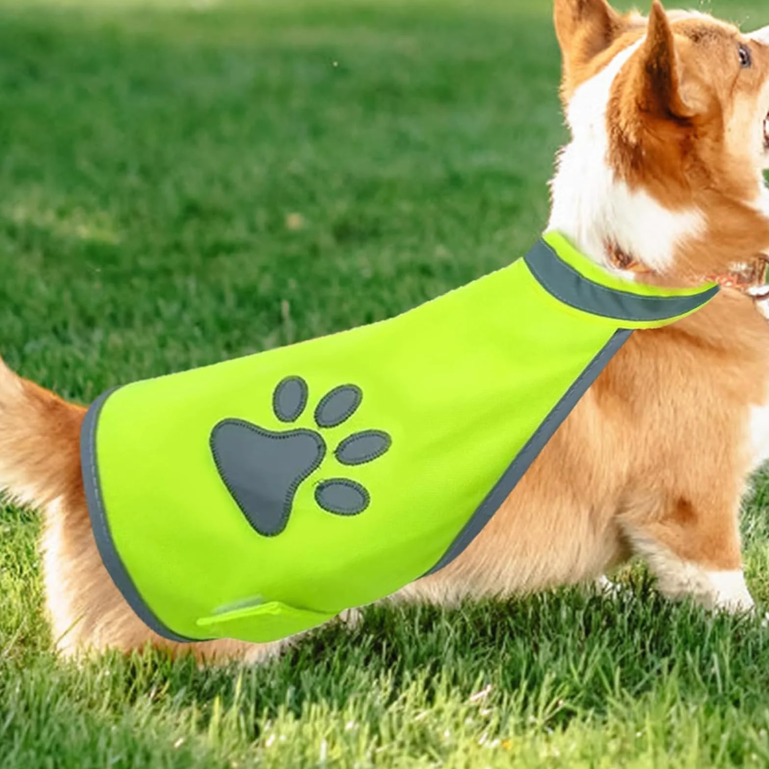 Gilet Jaune Bandes Réfléchissantes Chien Conception Réglable pour Promenades Nocturnes