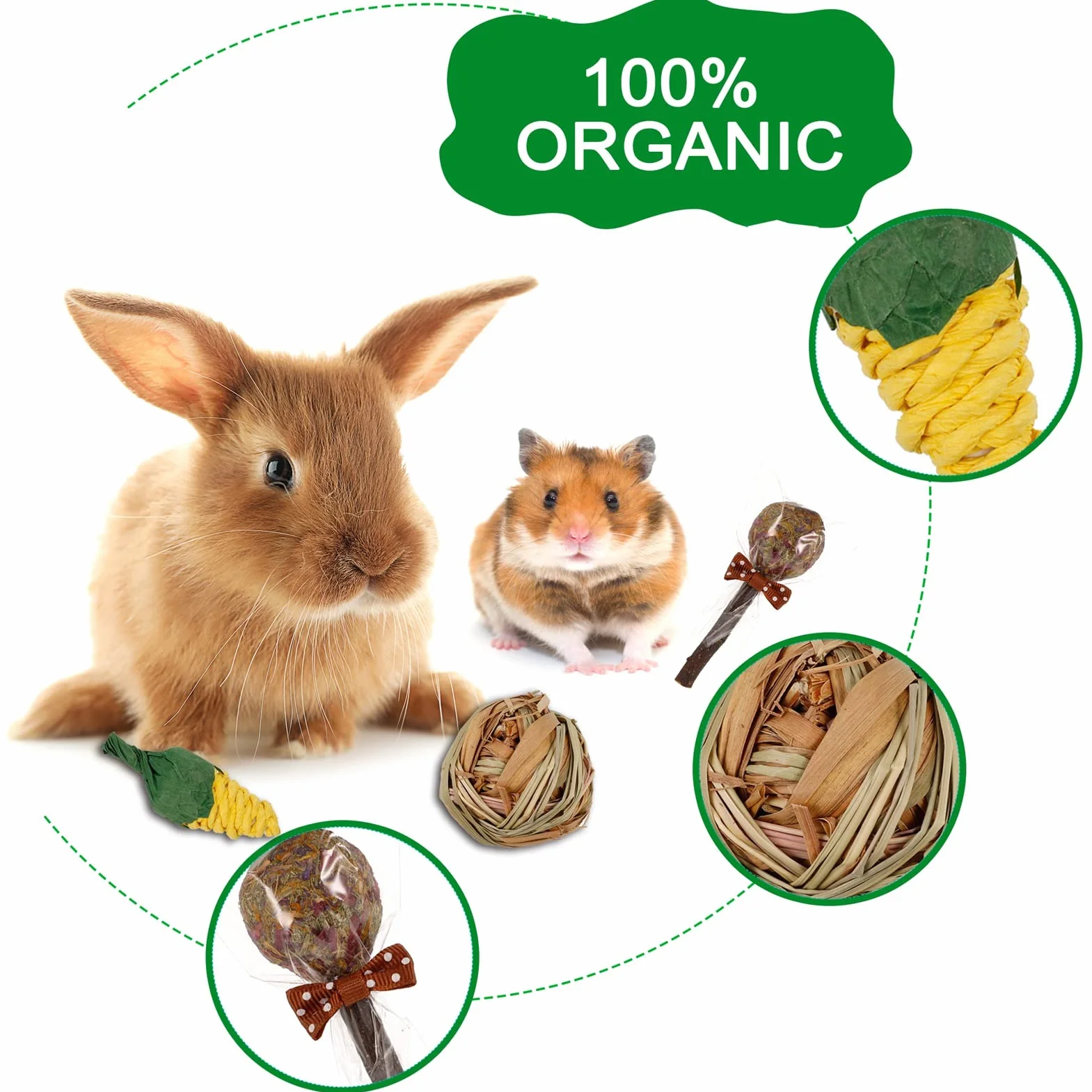 Jouet pour Lapin 17 Pcs Accessoire à Mâcher pour Cochon d'Inde Hamster Chinchilla Gerbille