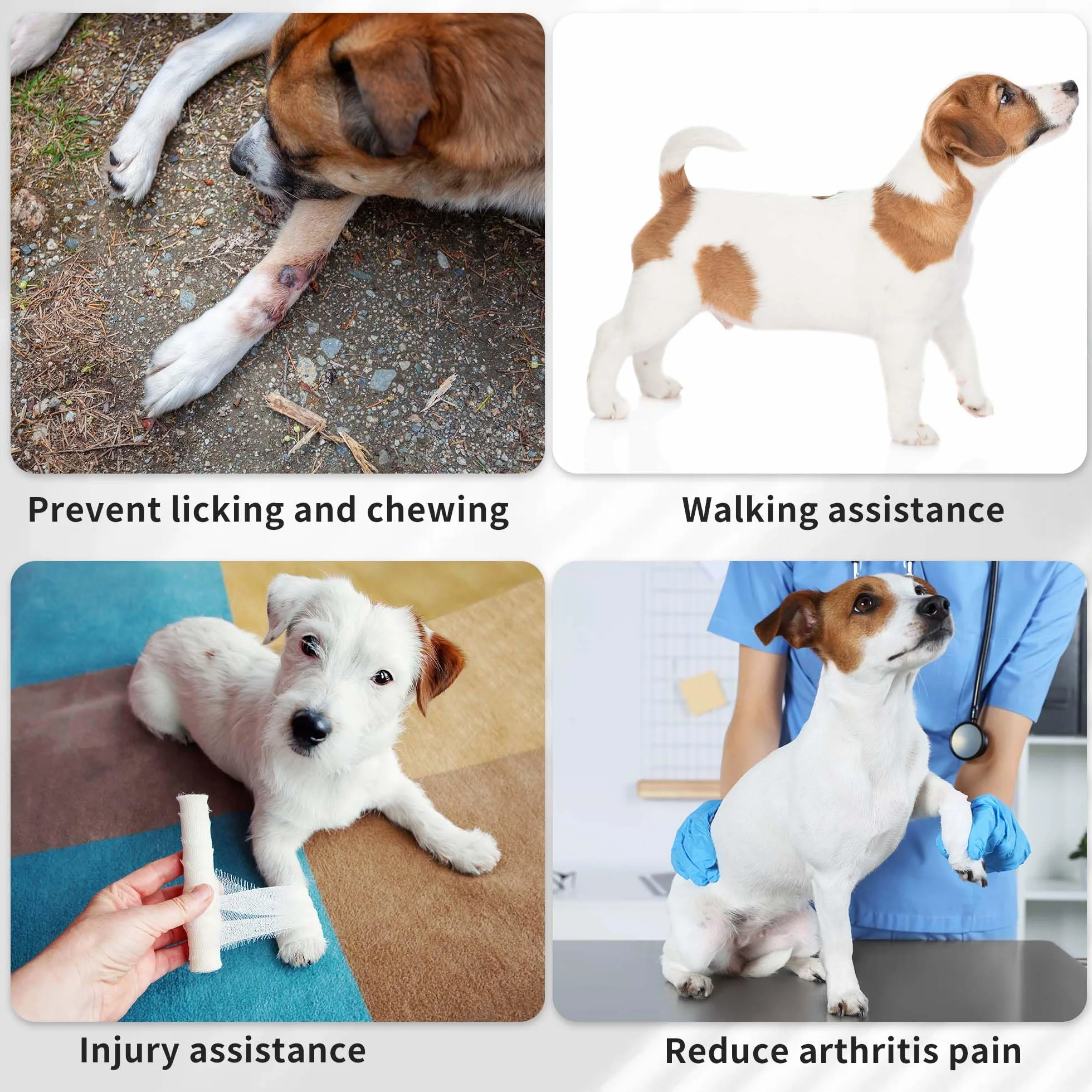 Genouillères Chien Support Jambe Arrière Droit, Bandage Respirante Articulaire, S, Noir